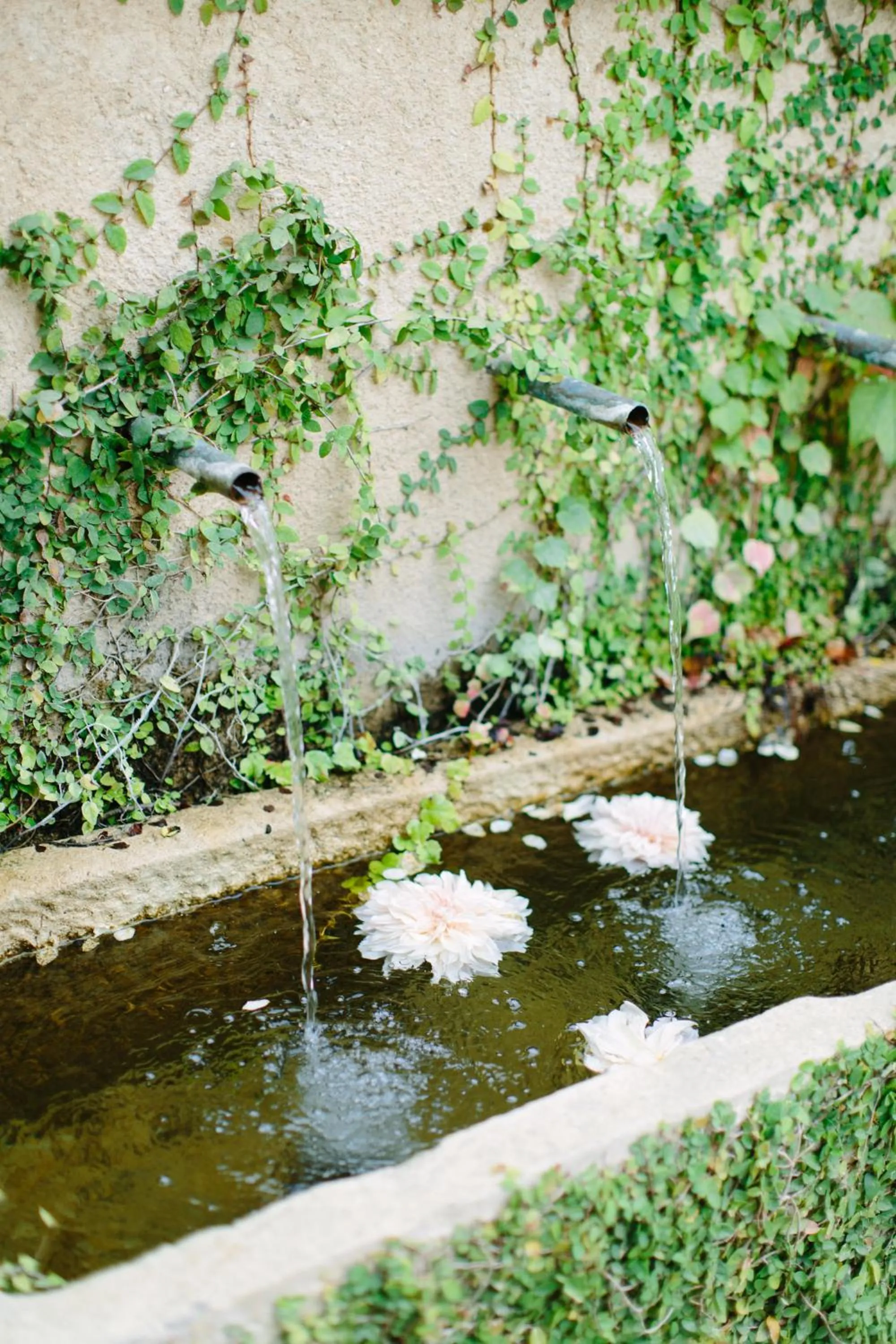 Decorative detail in Seven Branches Venue and Inn