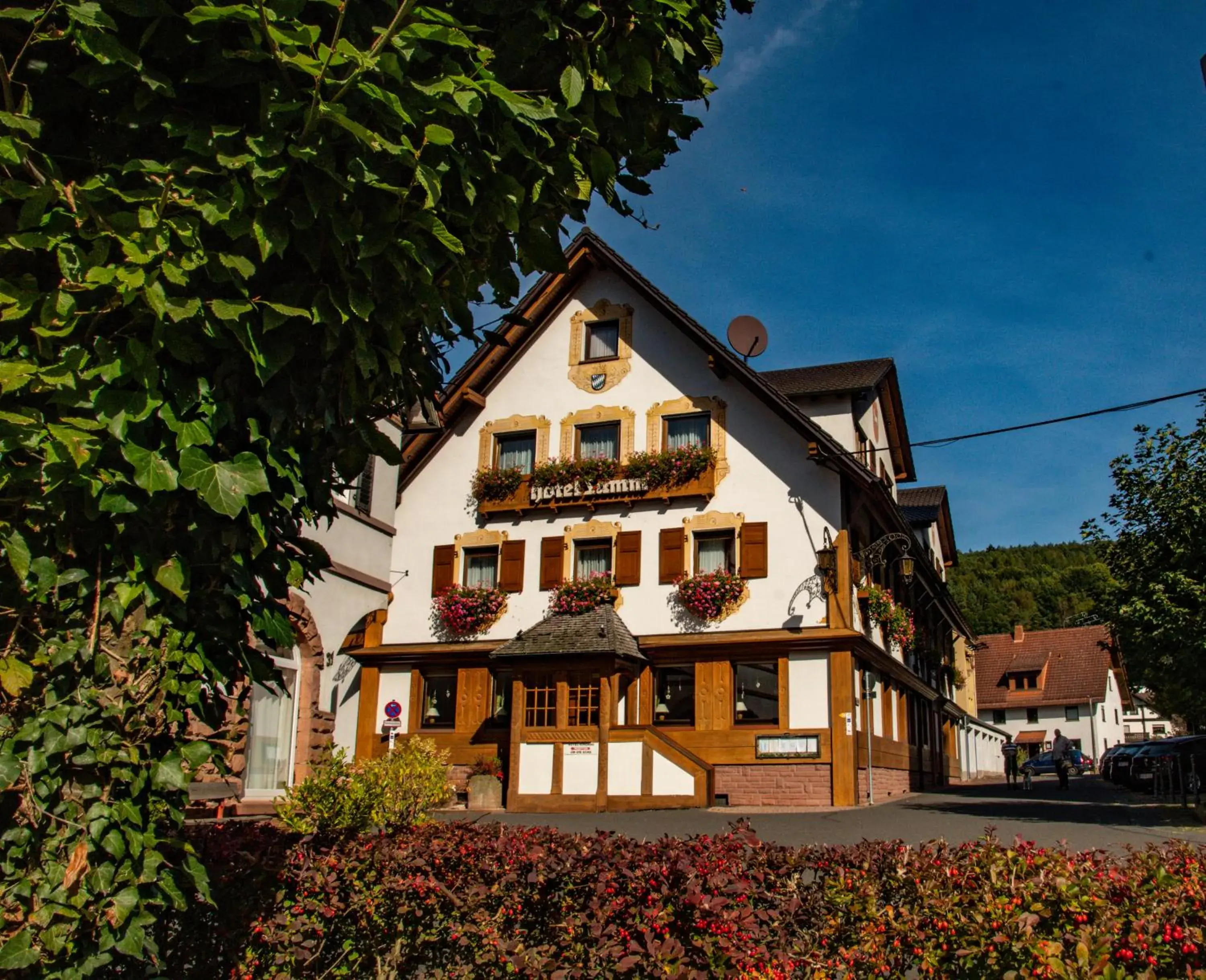 Hotel Lamm Hotel Lamm