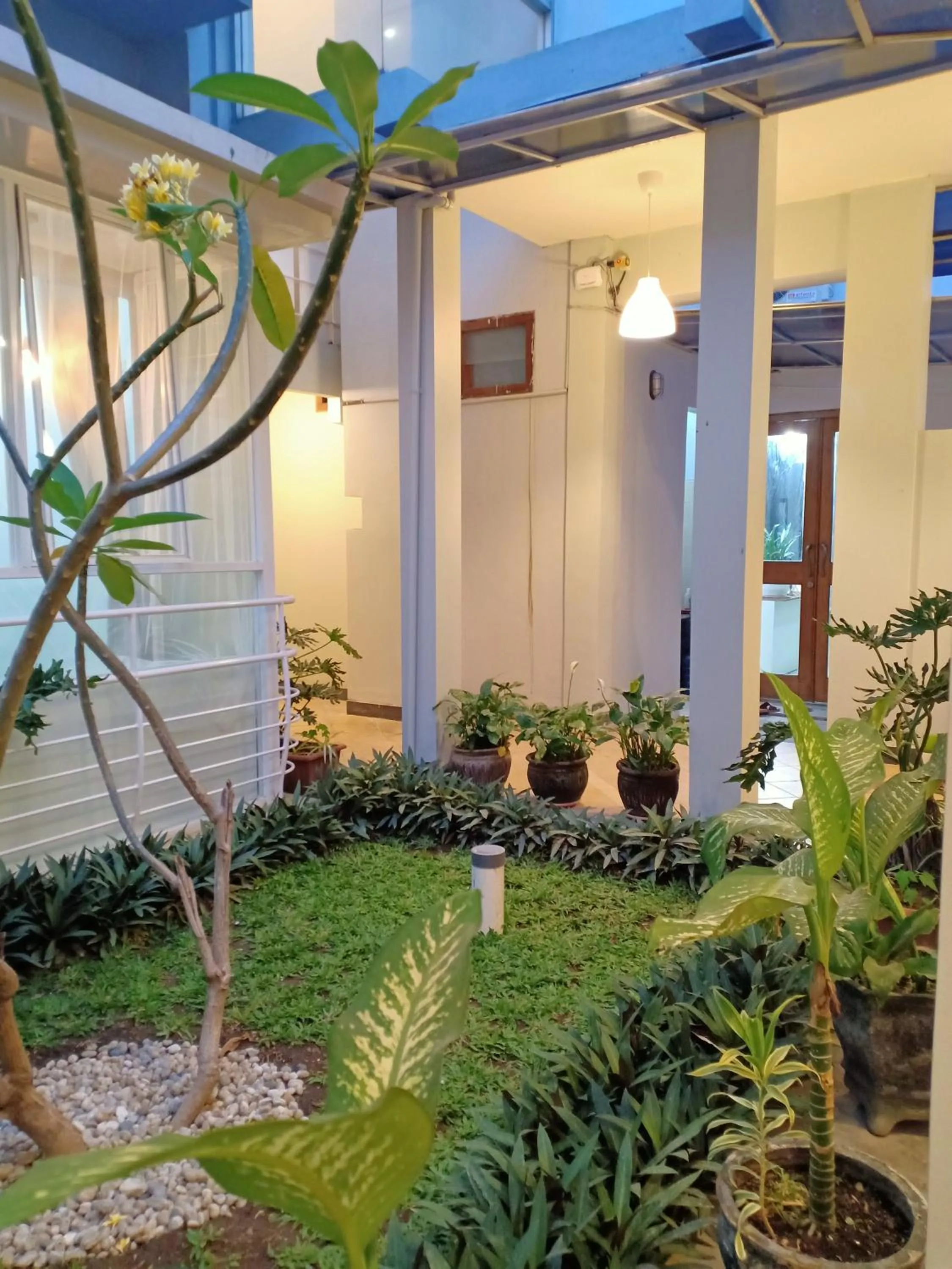 Garden view in Ministry Homestay