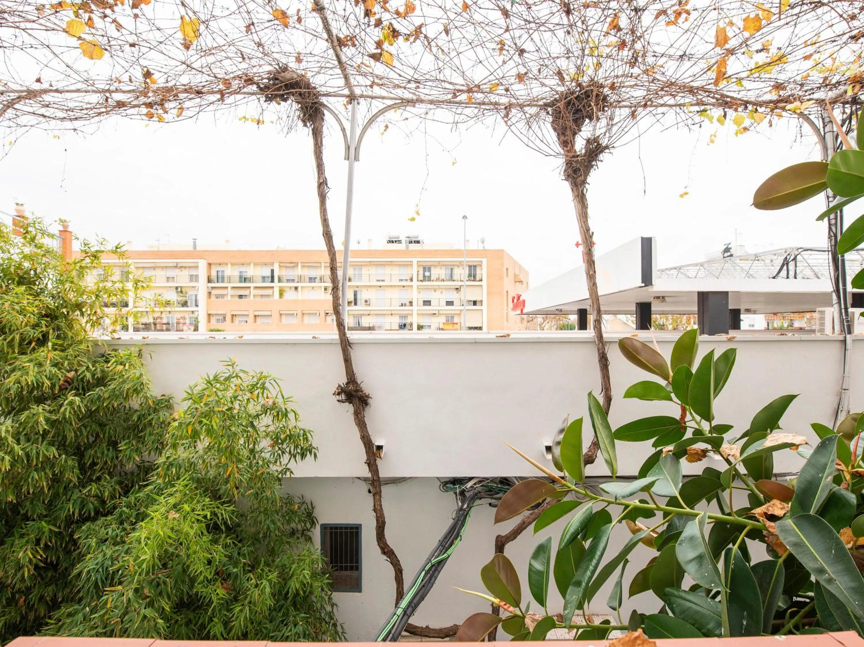 Neighbourhood in Hostal Santiago