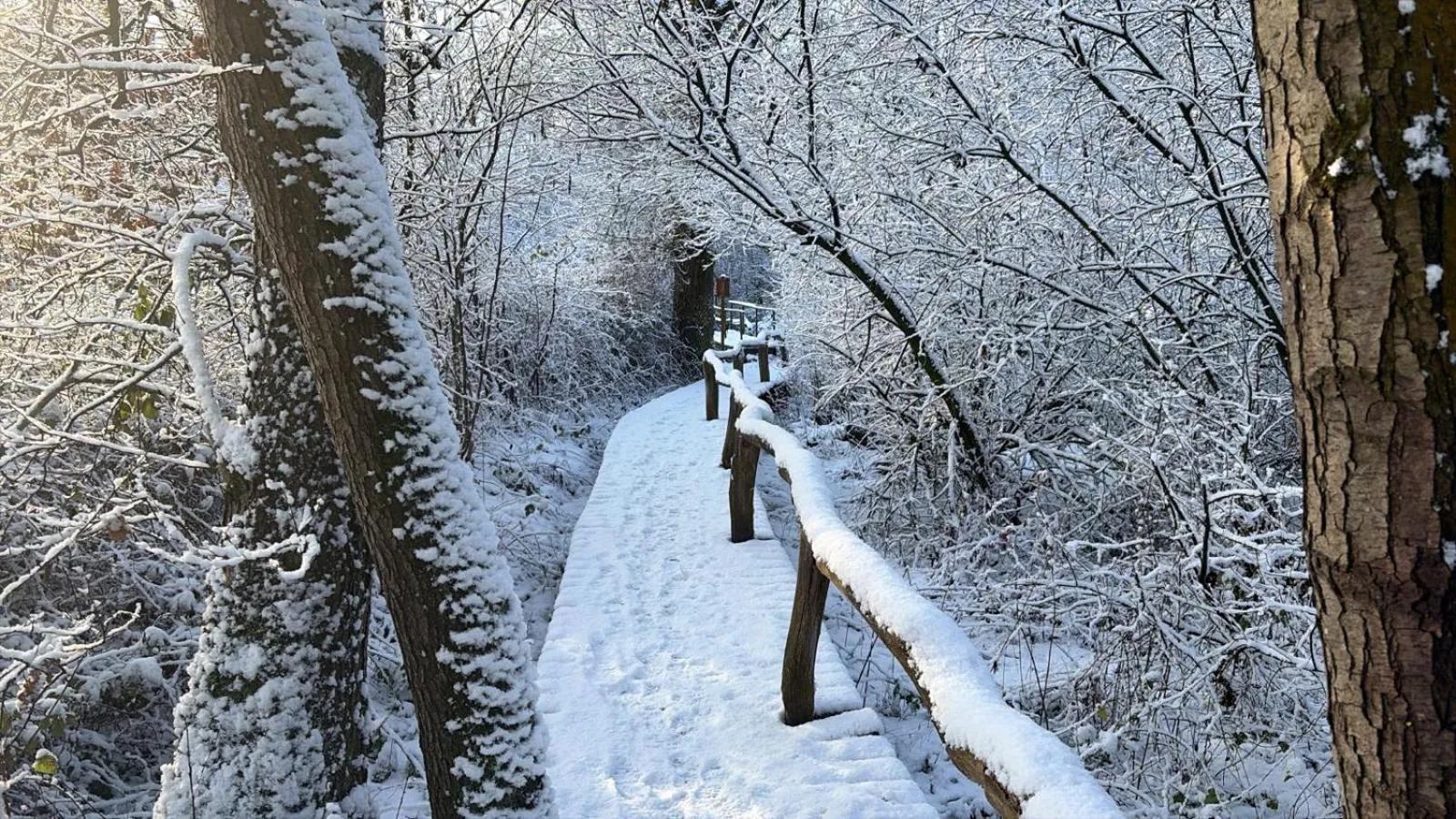 Natural landscape in B&B 't Mjeels Pierke