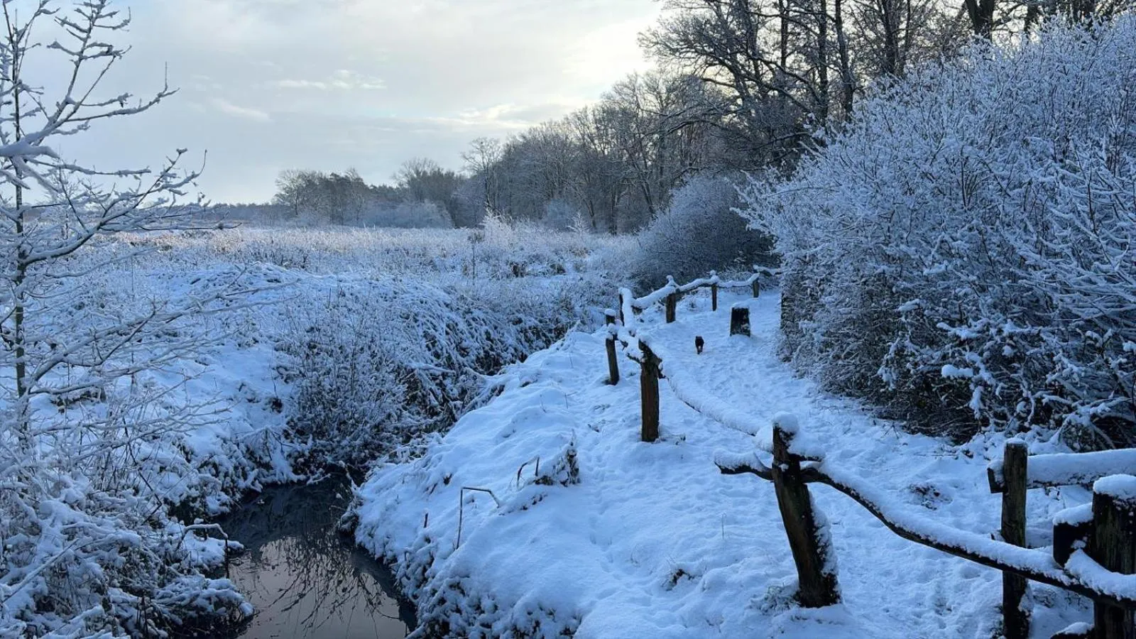 Natural landscape in B&B 't Mjeels Pierke