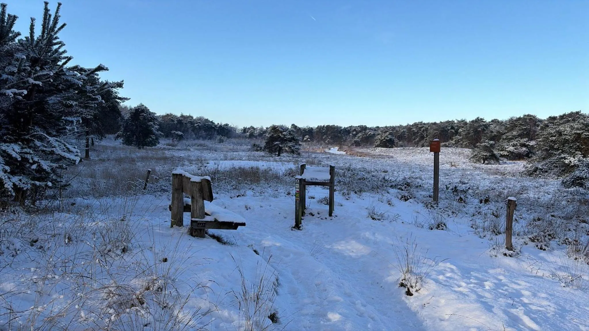 Natural landscape in B&B 't Mjeels Pierke