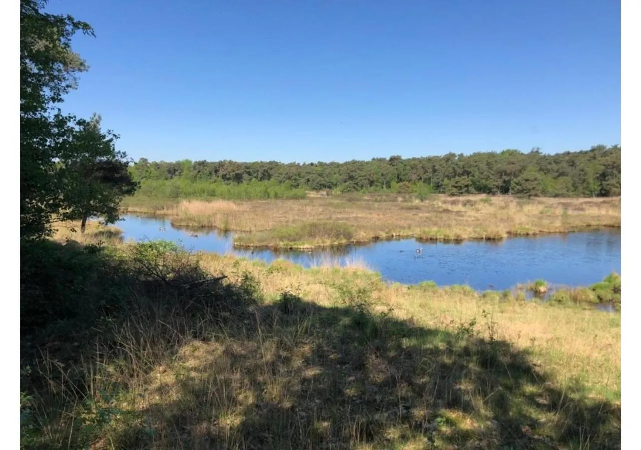 Natural landscape in B&B 't Mjeels Pierke