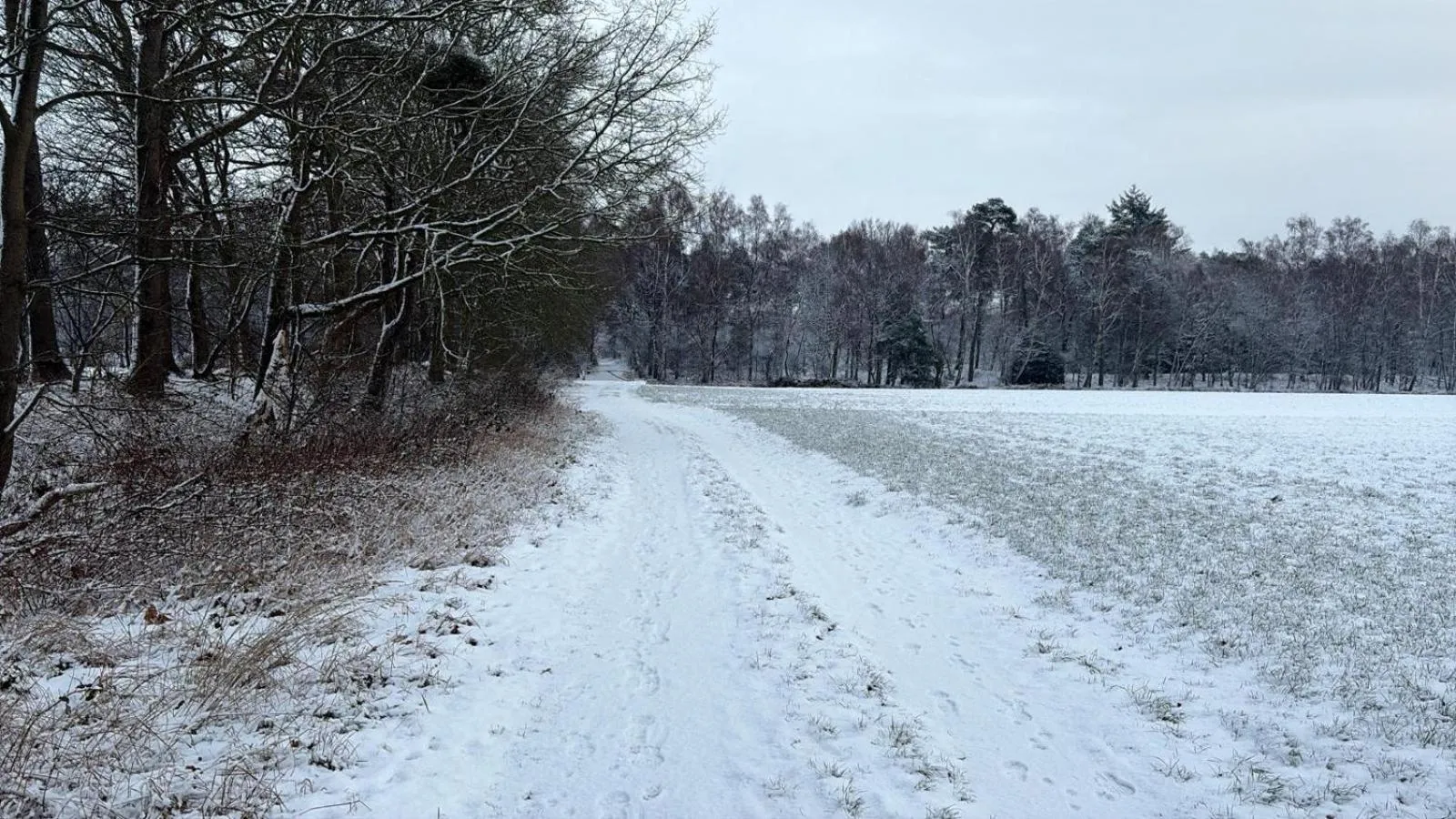 Natural landscape in B&B 't Mjeels Pierke