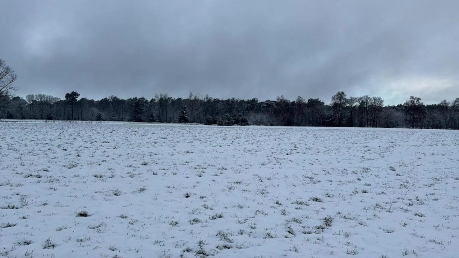 Natural landscape in B&B 't Mjeels Pierke