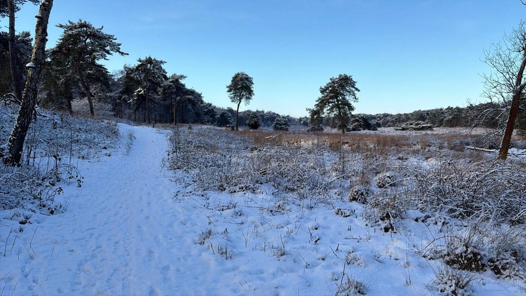 Natural landscape in B&B 't Mjeels Pierke
