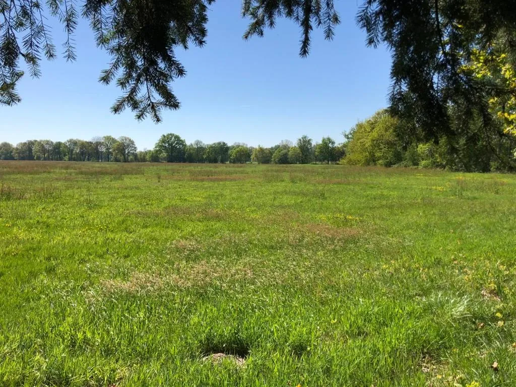 Natural landscape in B&B 't Mjeels Pierke