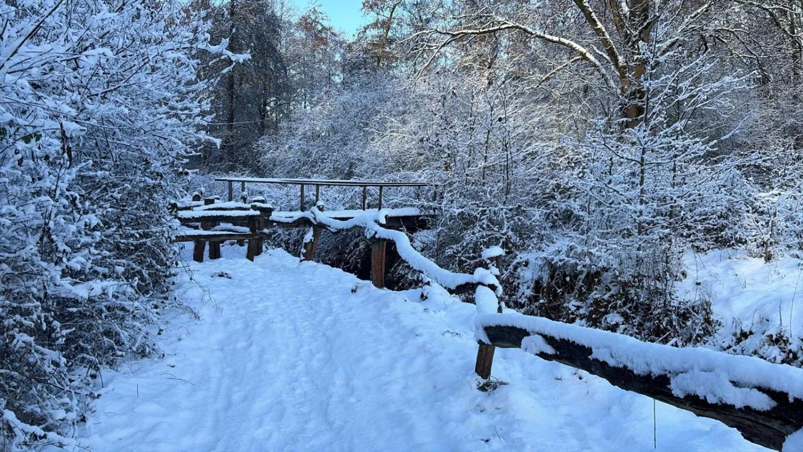Natural landscape in B&B 't Mjeels Pierke