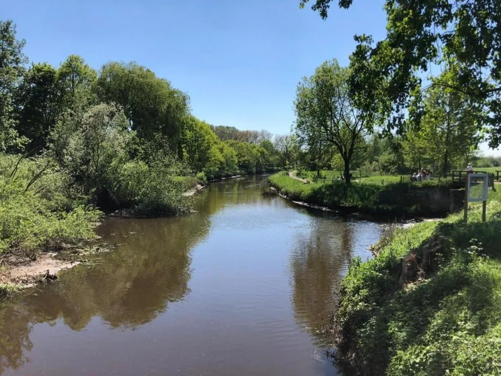 Natural landscape in B&B 't Mjeels Pierke