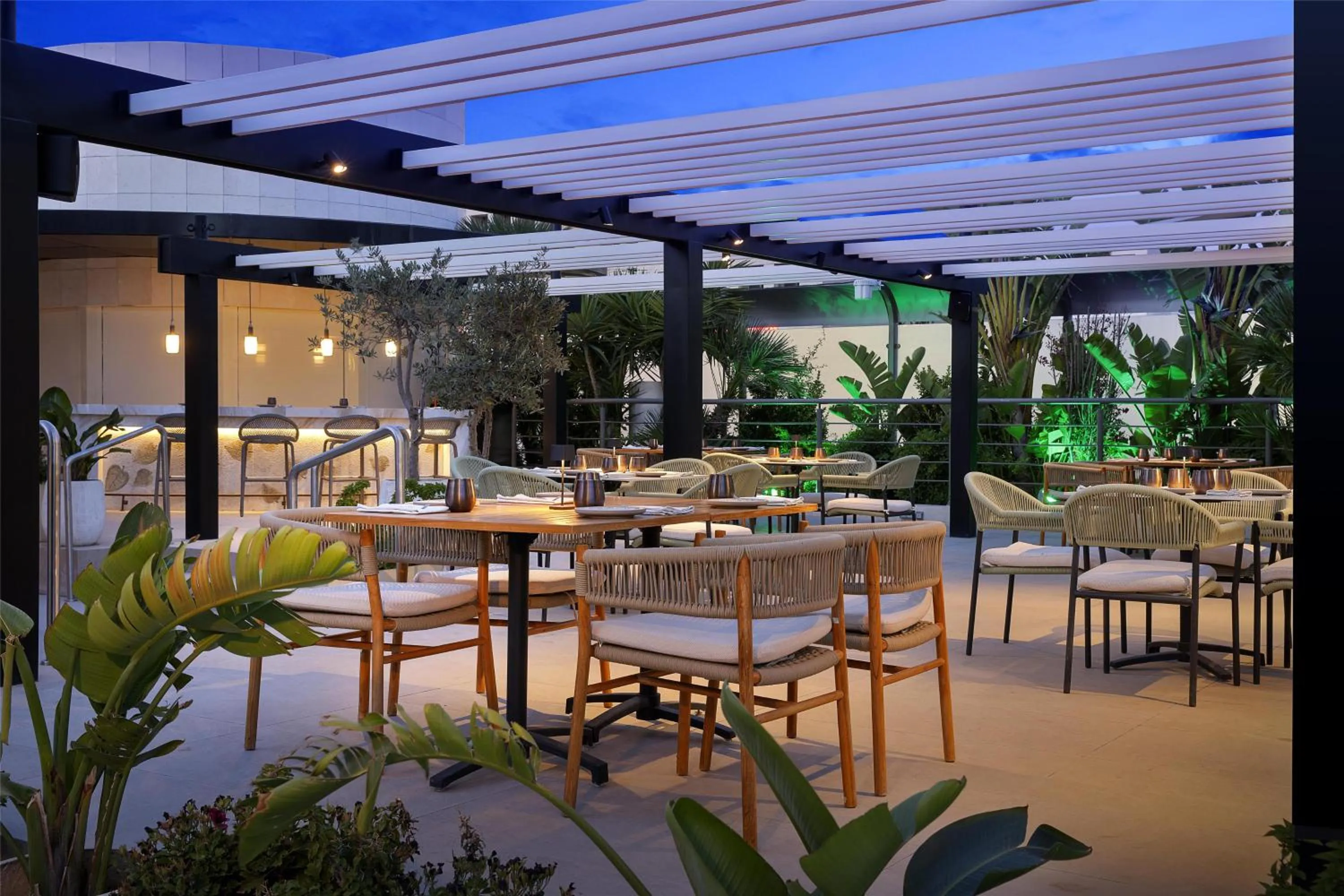 Lounge or bar in Signia by Hilton