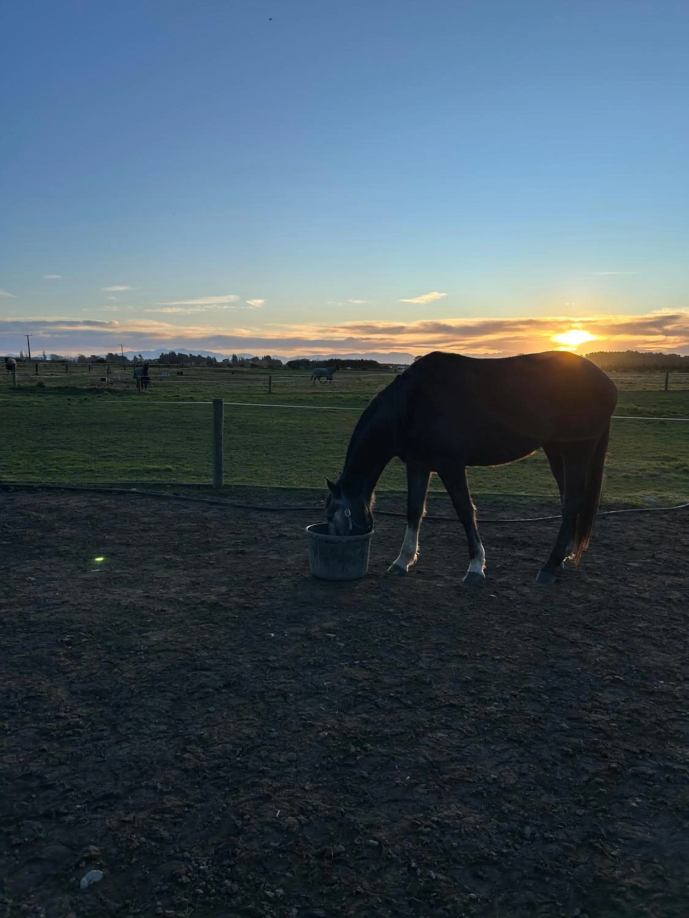 Natural landscape in Gem bed and breakfast