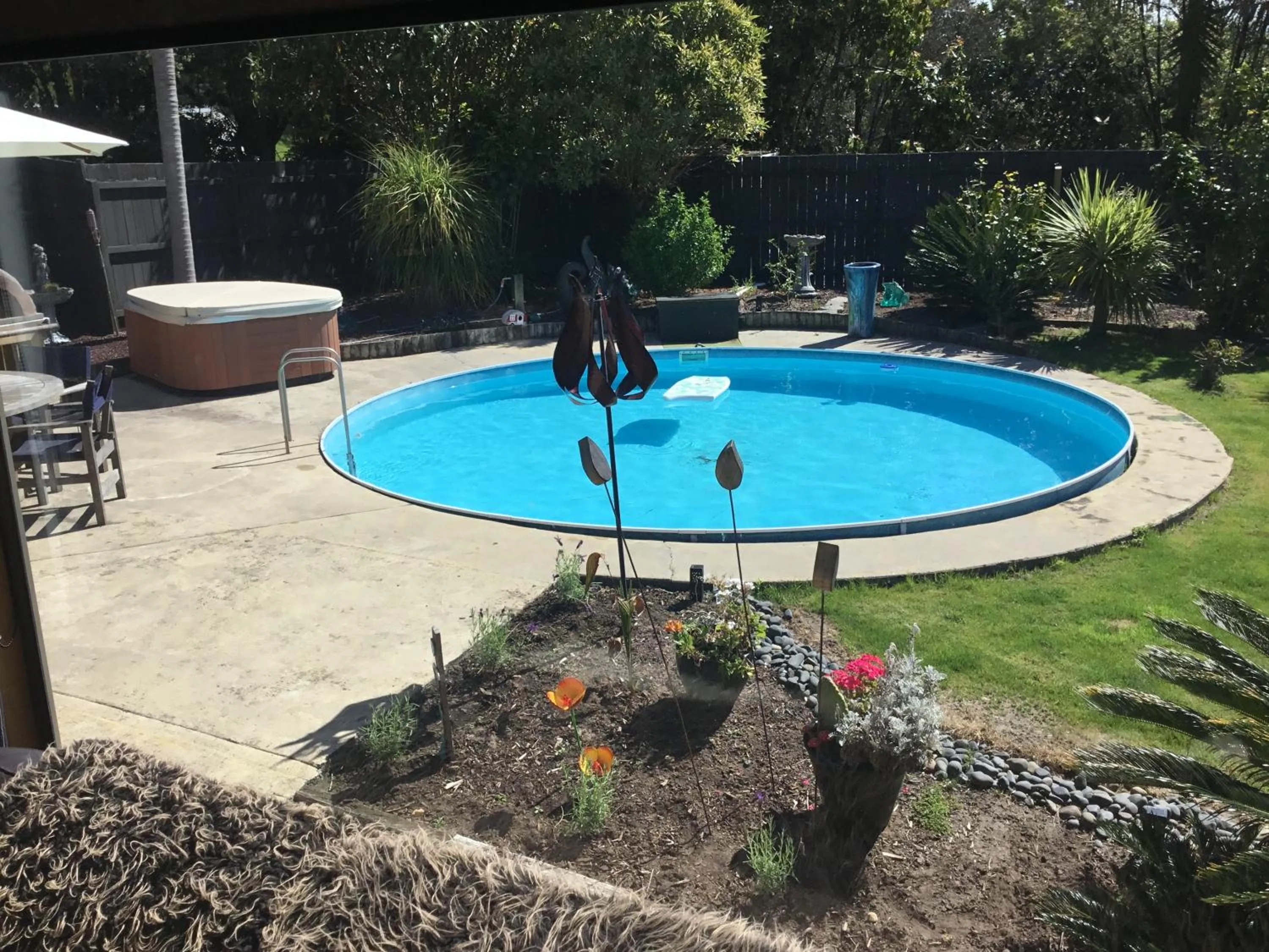 Swimming pool in Norfolk Gardens Bed and Breakfast