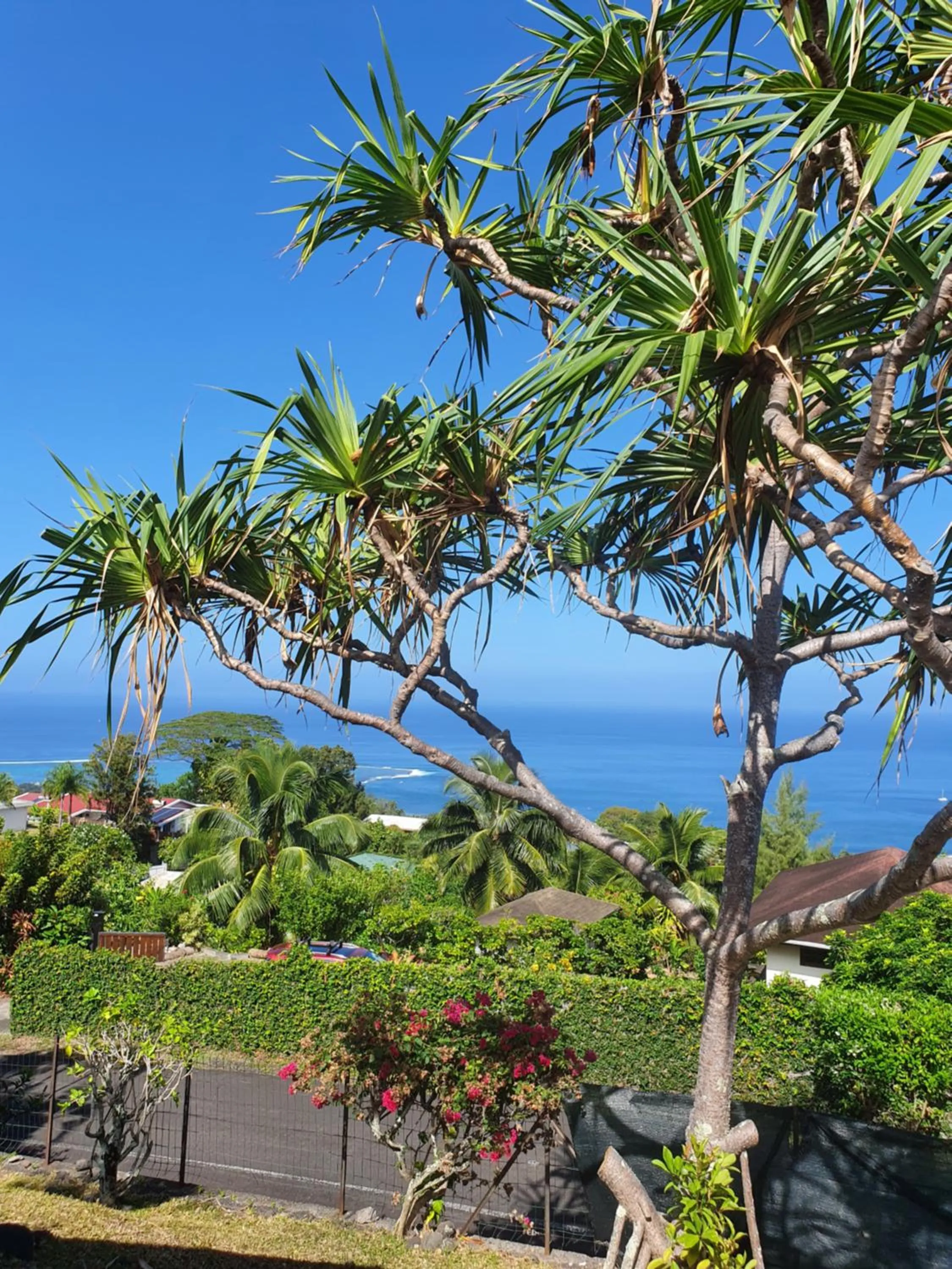 View (from property/room) in Jolie Maison Vue Ocean et Moorea