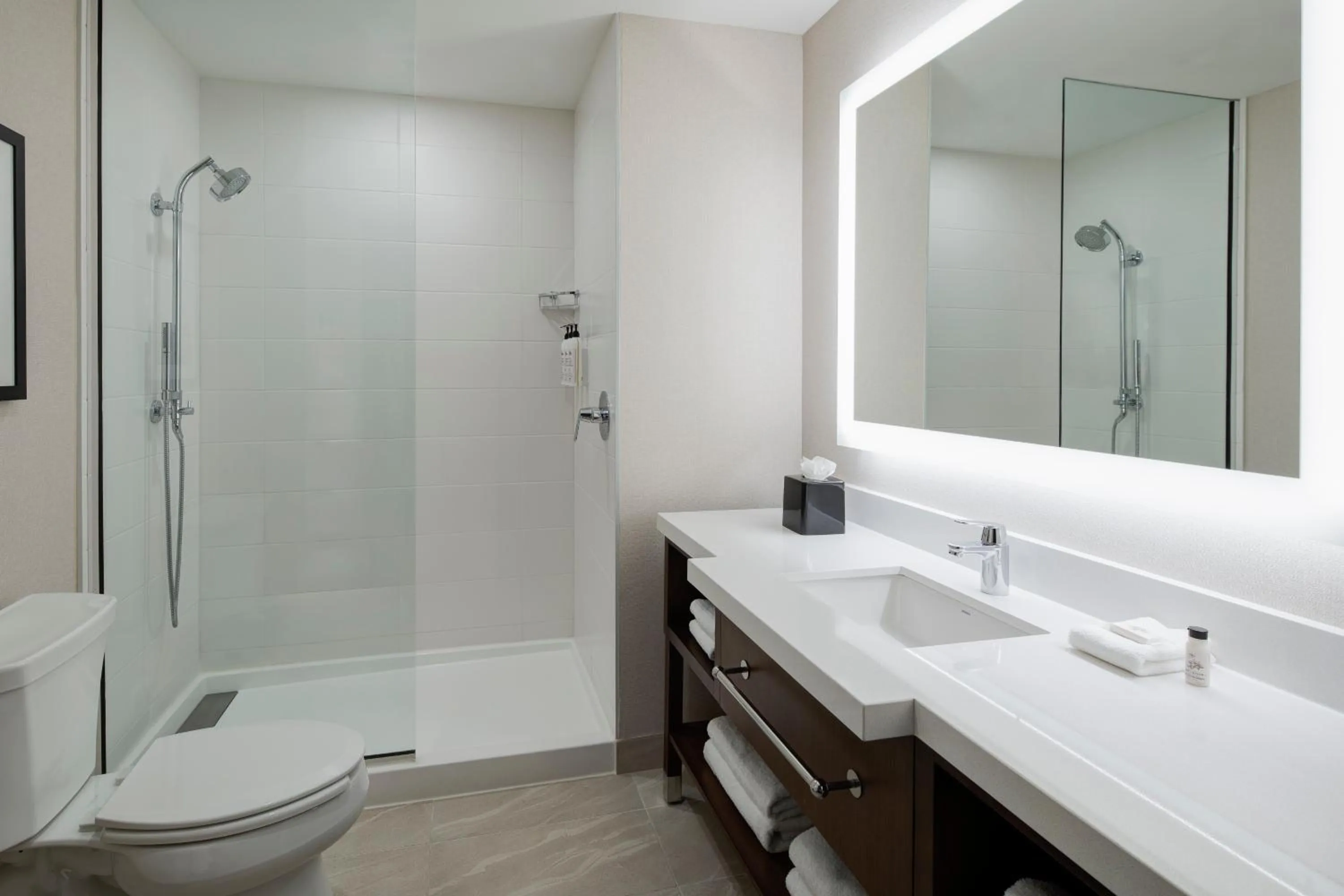Bathroom in Delta Hotels by Marriott Dallas Southlake