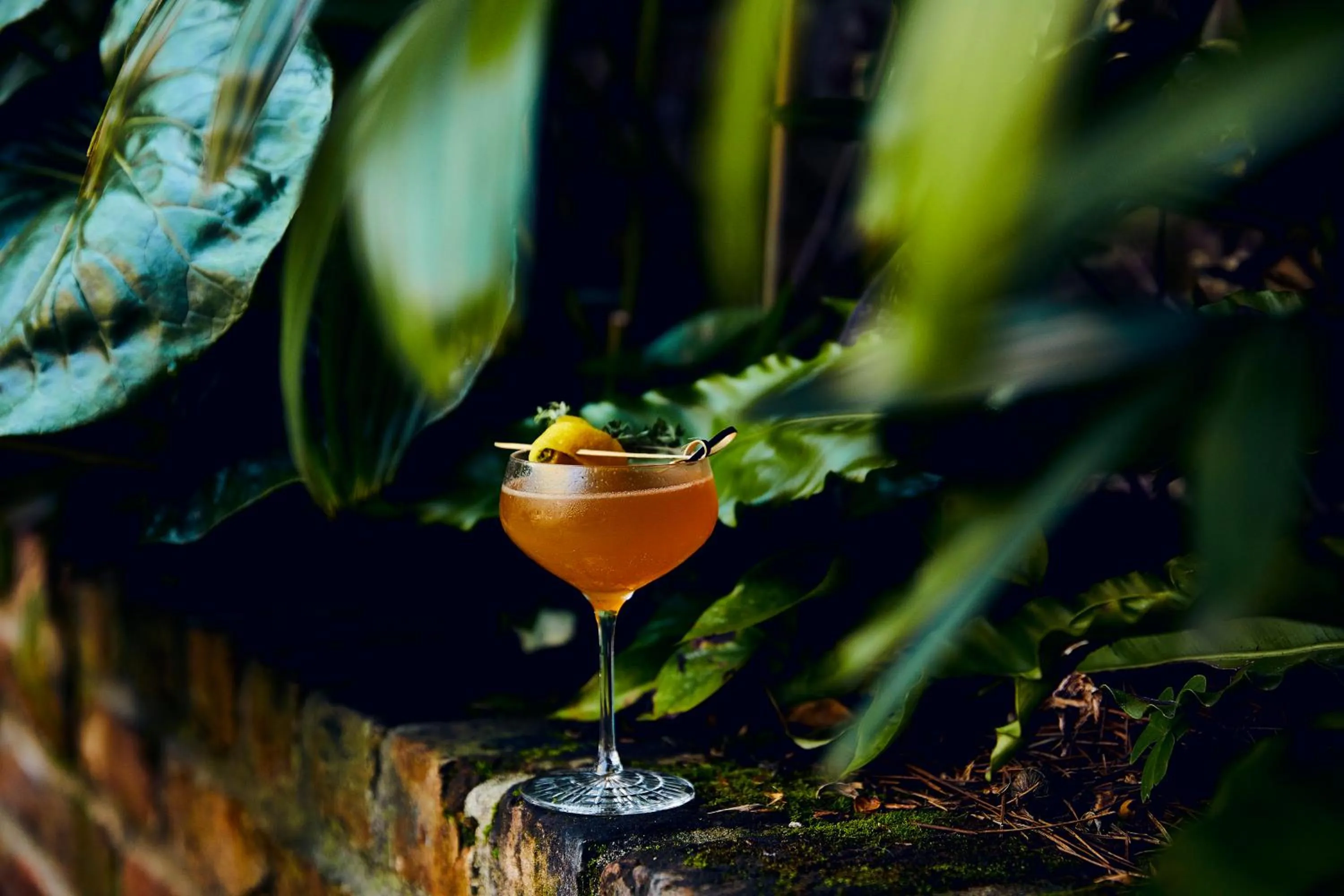 Restaurant/places to eat in Kimpton Sylvan Hotel Buckhead Atlanta