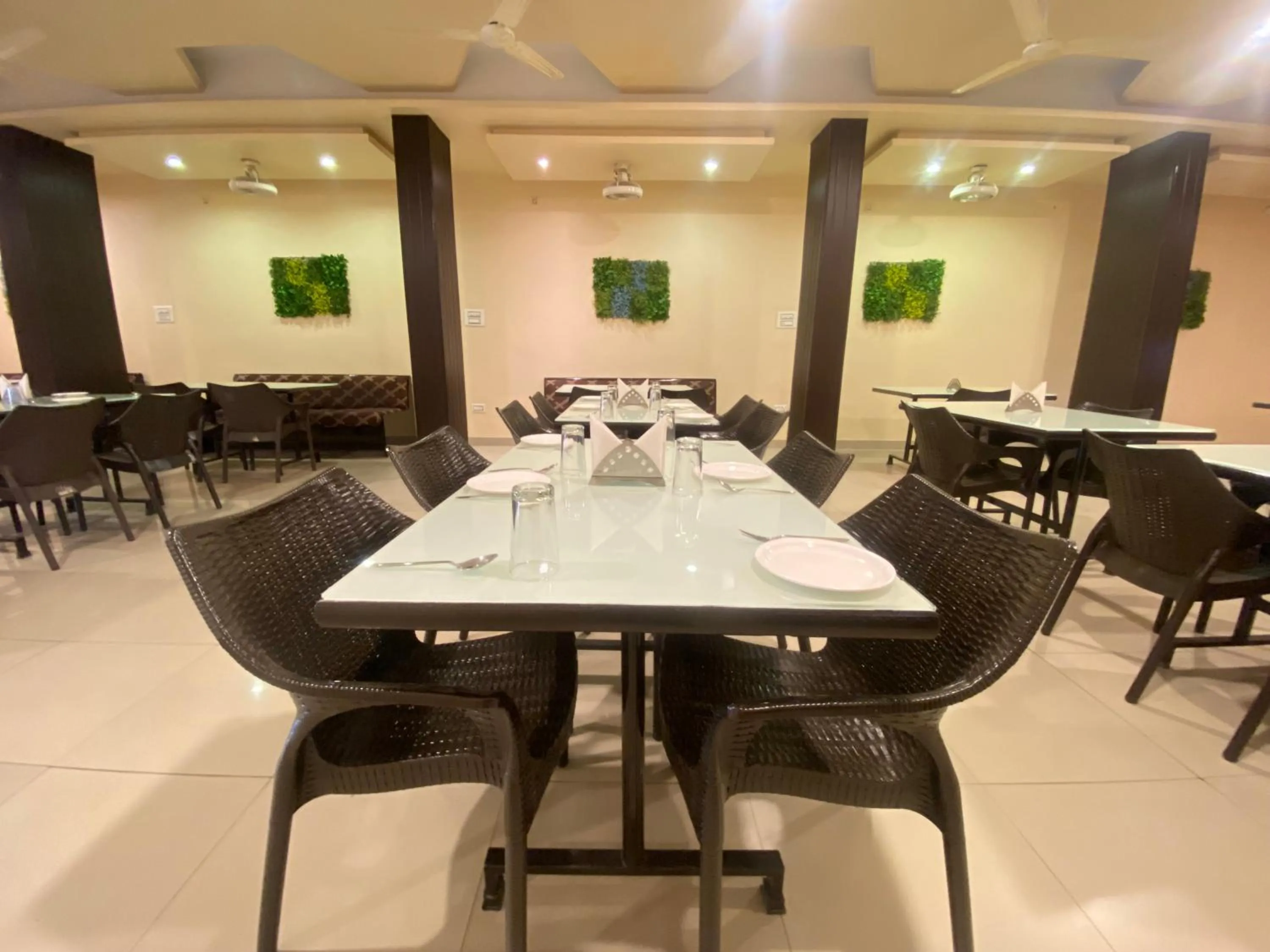 Restaurant/places to eat in Hotel Ace Plaza