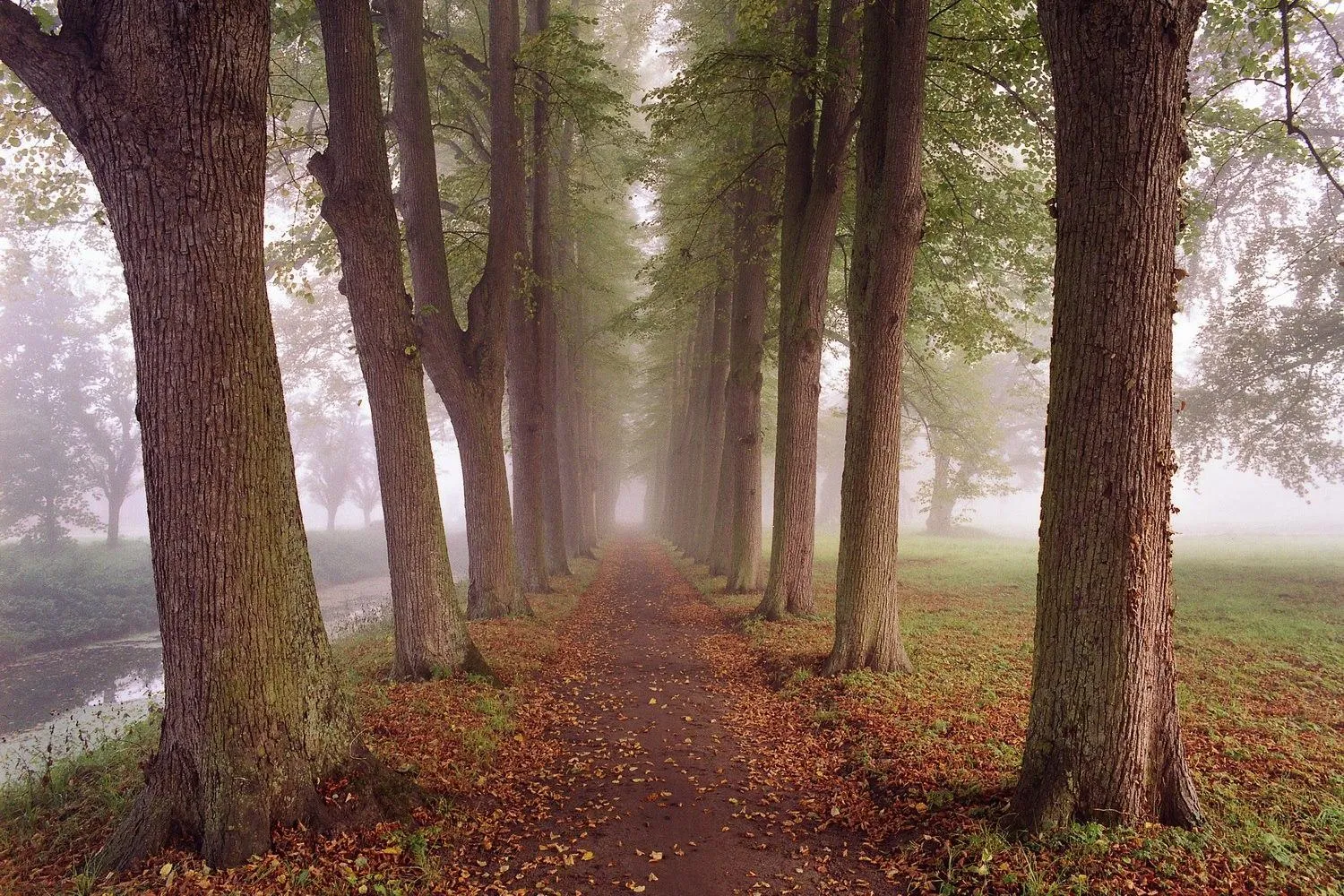 Schlosshotel Burg Schlitz