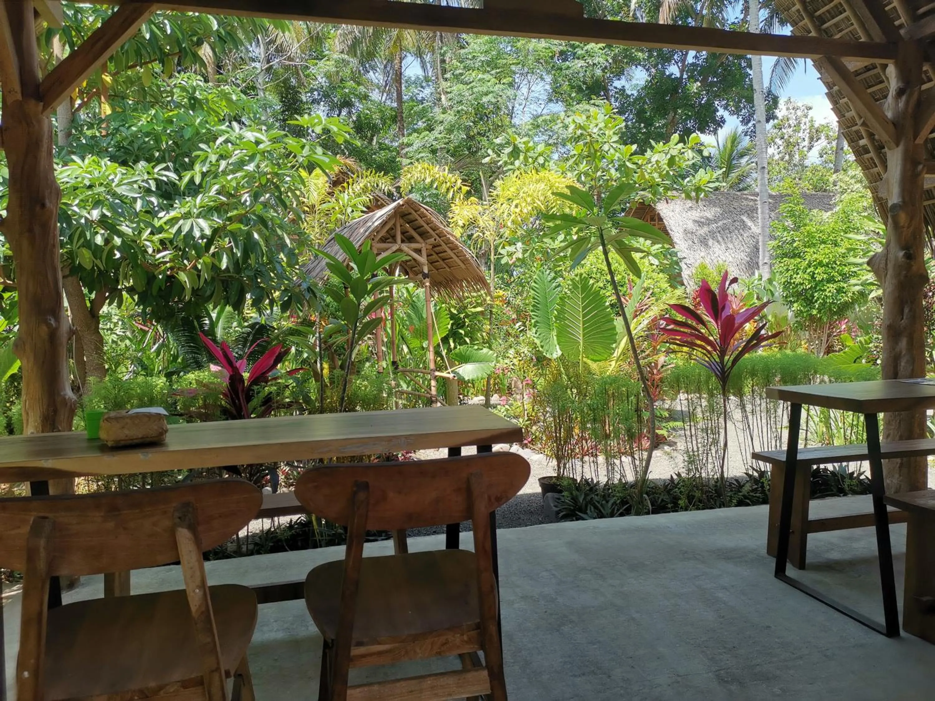 Garden in Coconut Tree Cottages