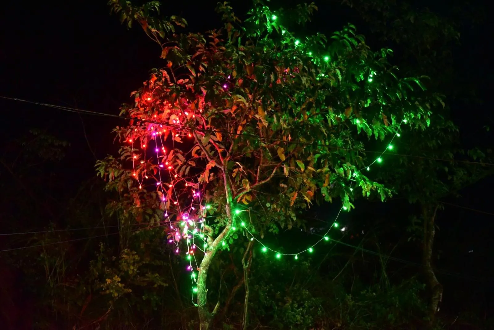 Night in CHILLAX Resorts Palakkayam THATTU