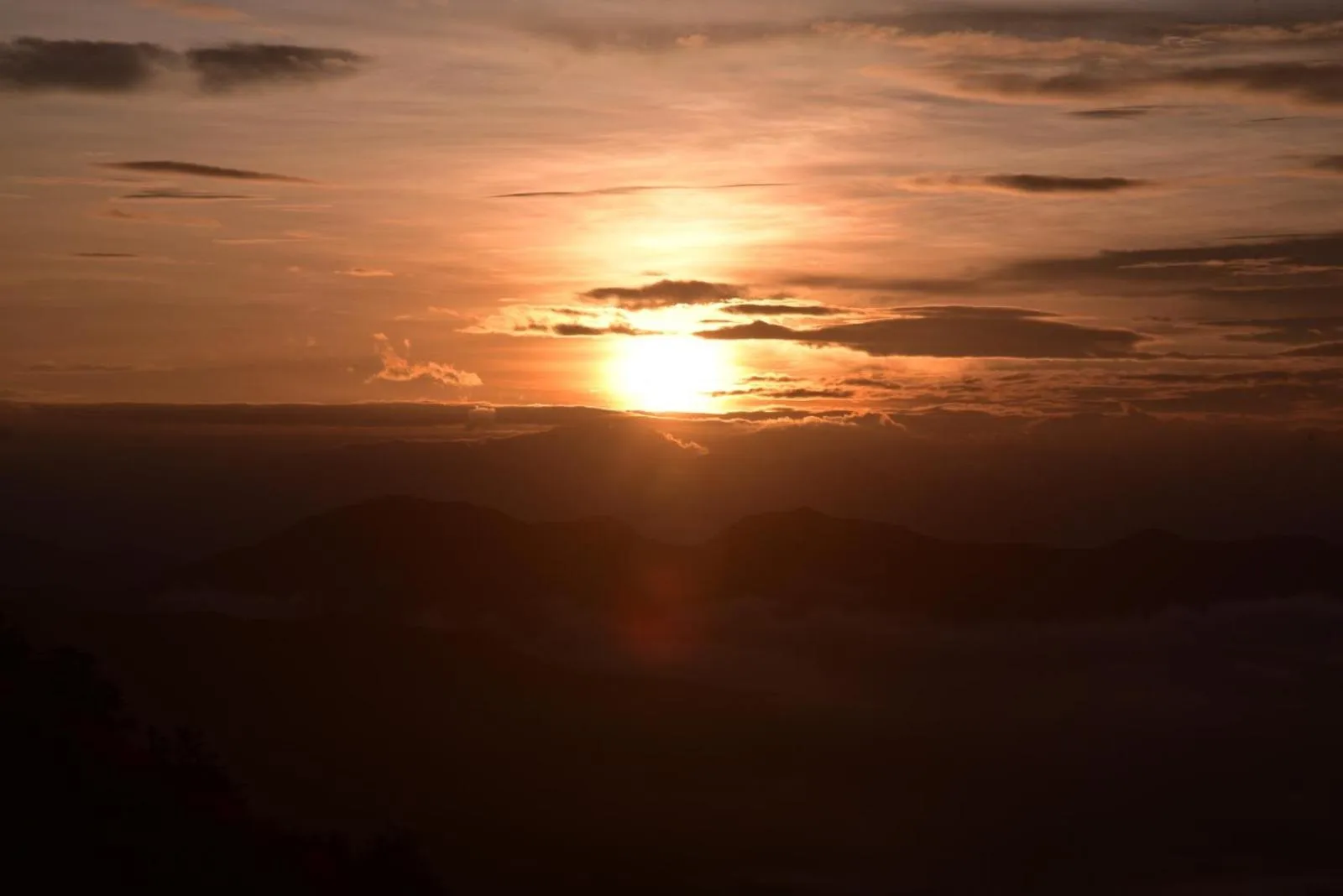 Natural landscape in CHILLAX Resorts Palakkayam THATTU