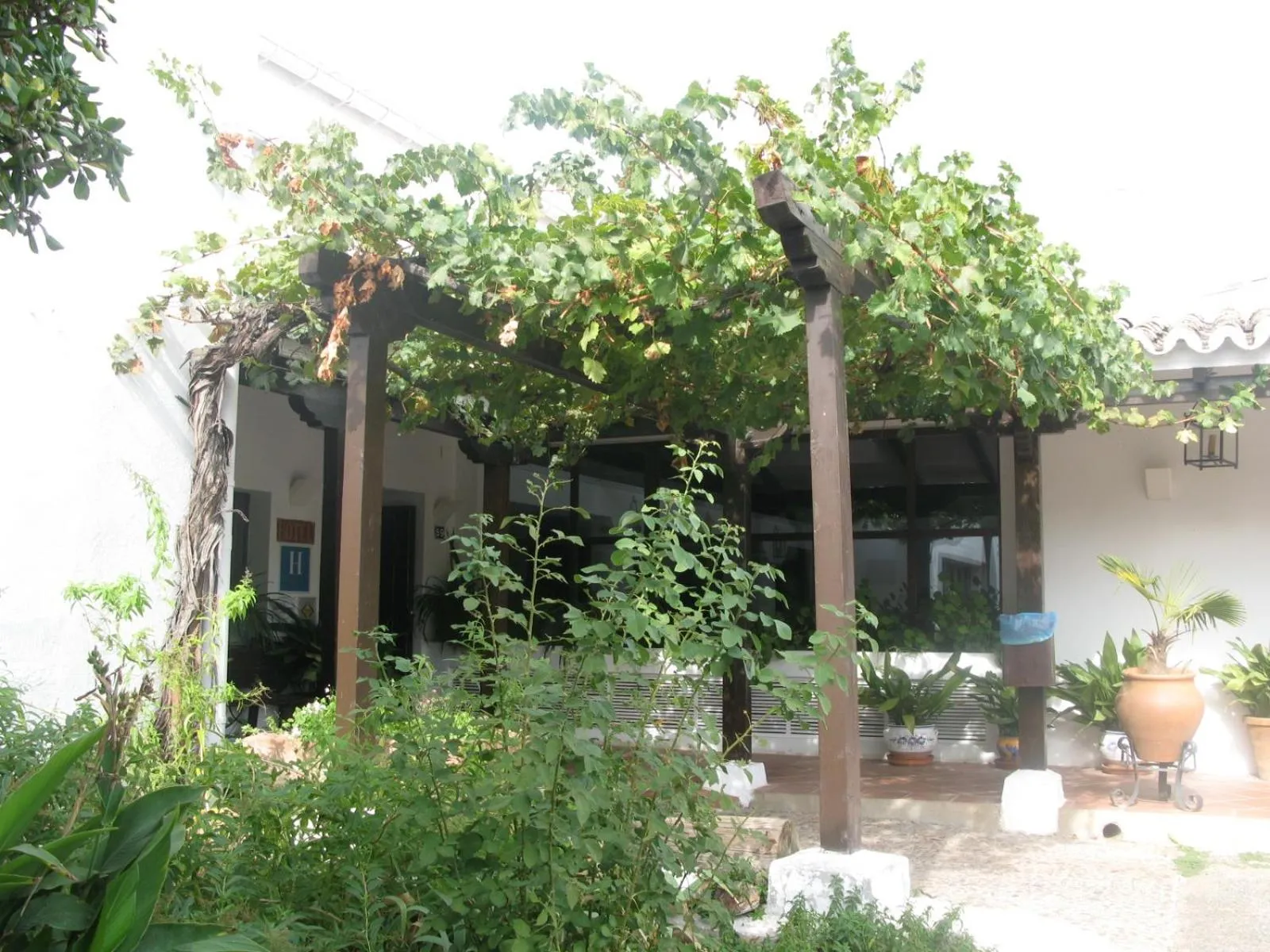Facade/entrance in Hotel El Puerto