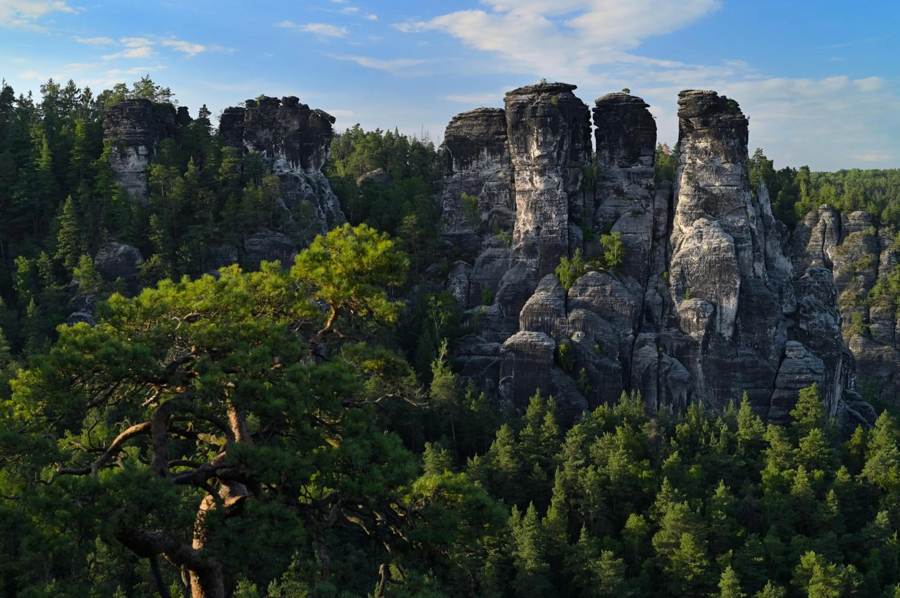 Staff in Gasthof Ungerberg