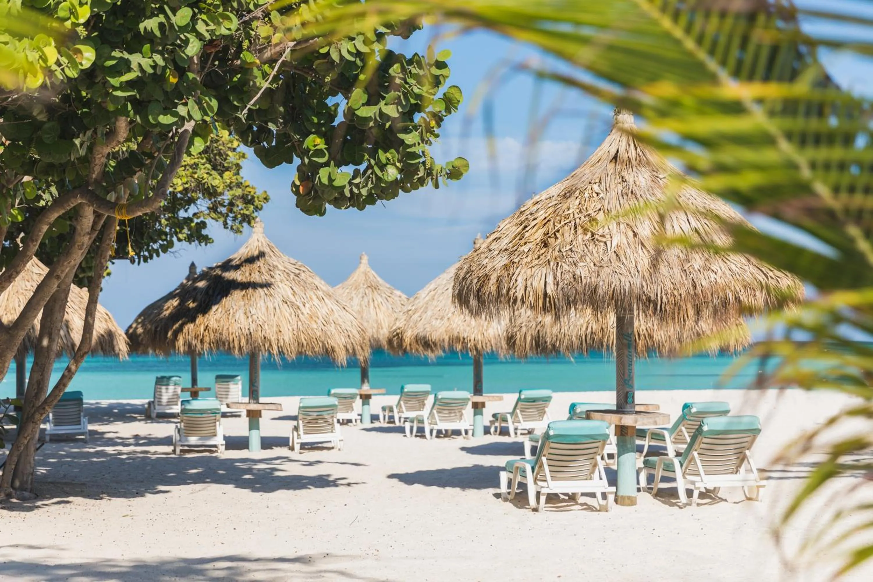 Beach in Boardwalk Boutique Hotel Aruba - Adults Only