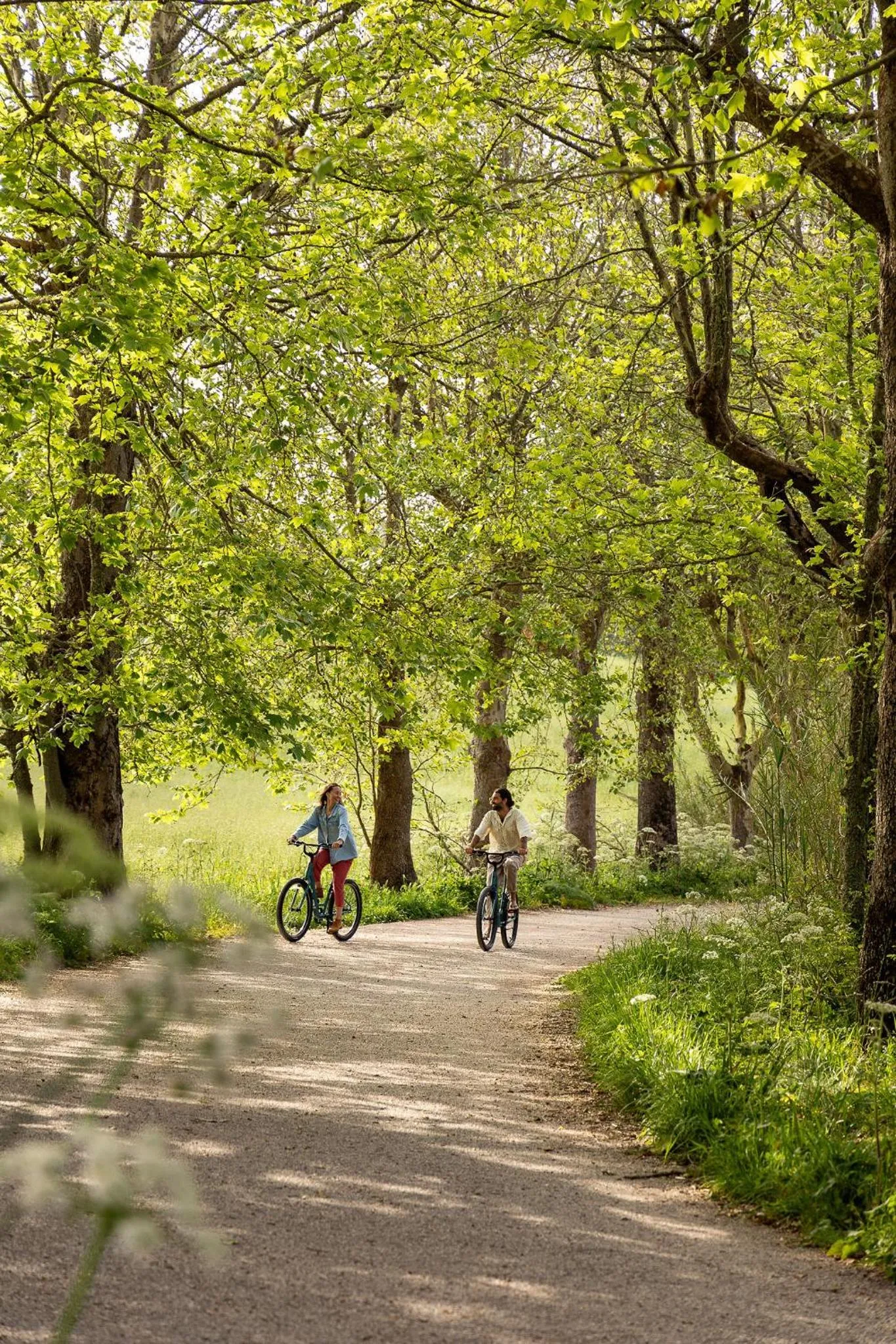 Activities in Areias do Seixo Villas