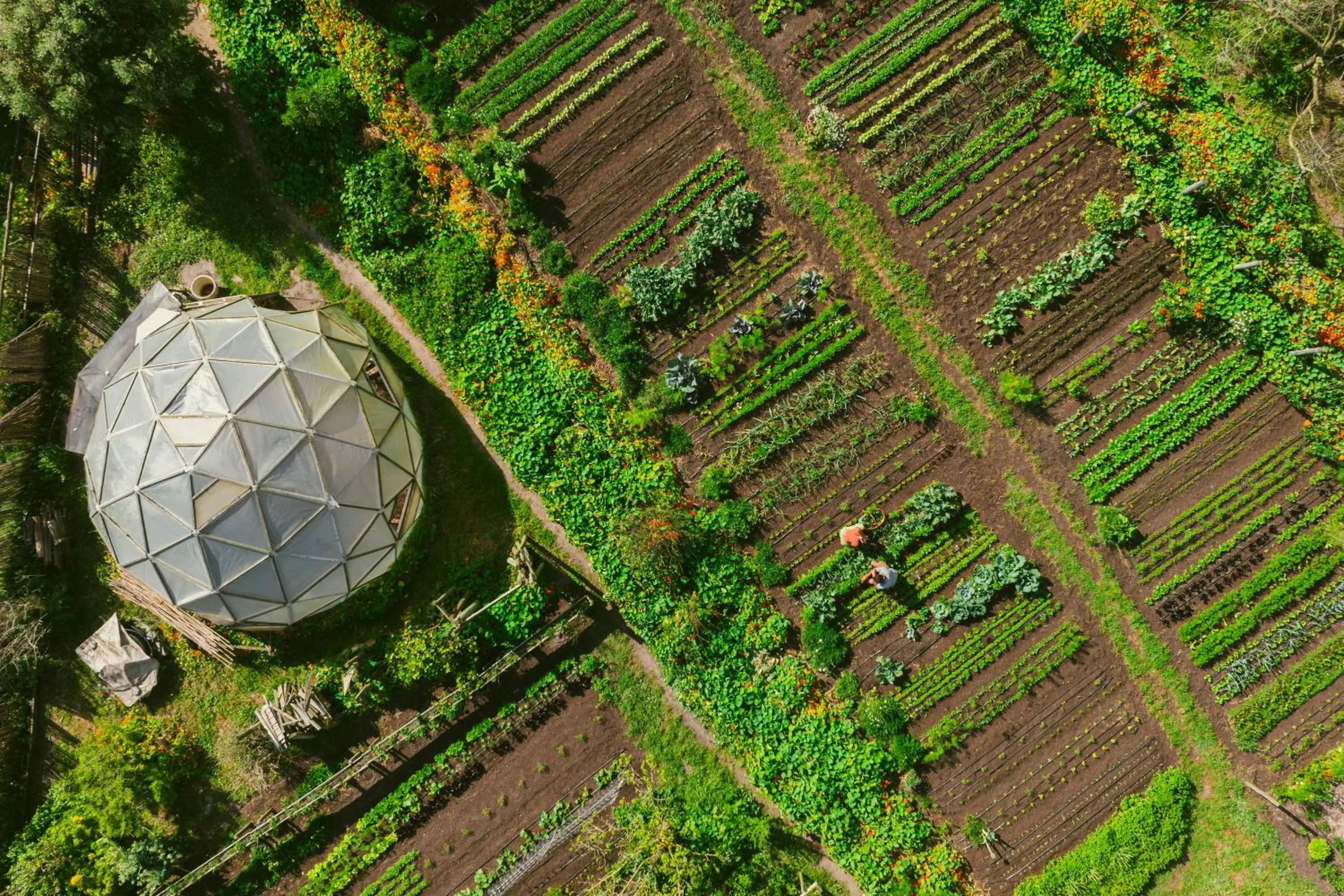 Garden in Areias do Seixo Villas