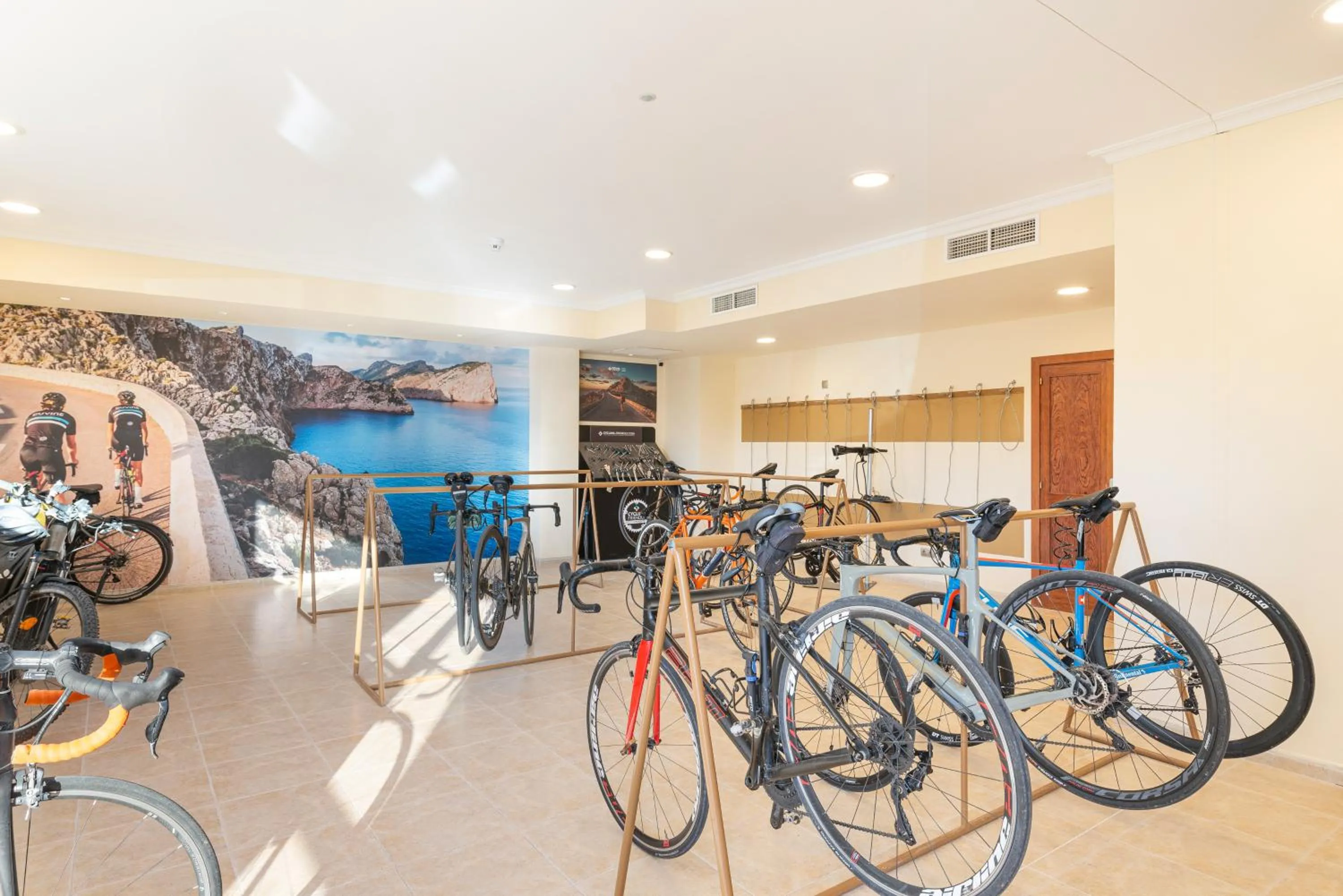 Cycling in Can Picafort Palace