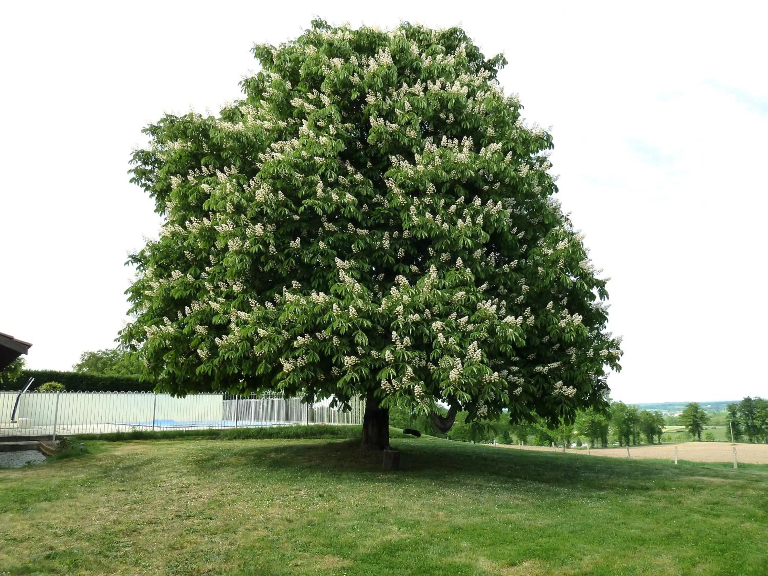 Garden in A L'Ombre Du Marronnier GITES