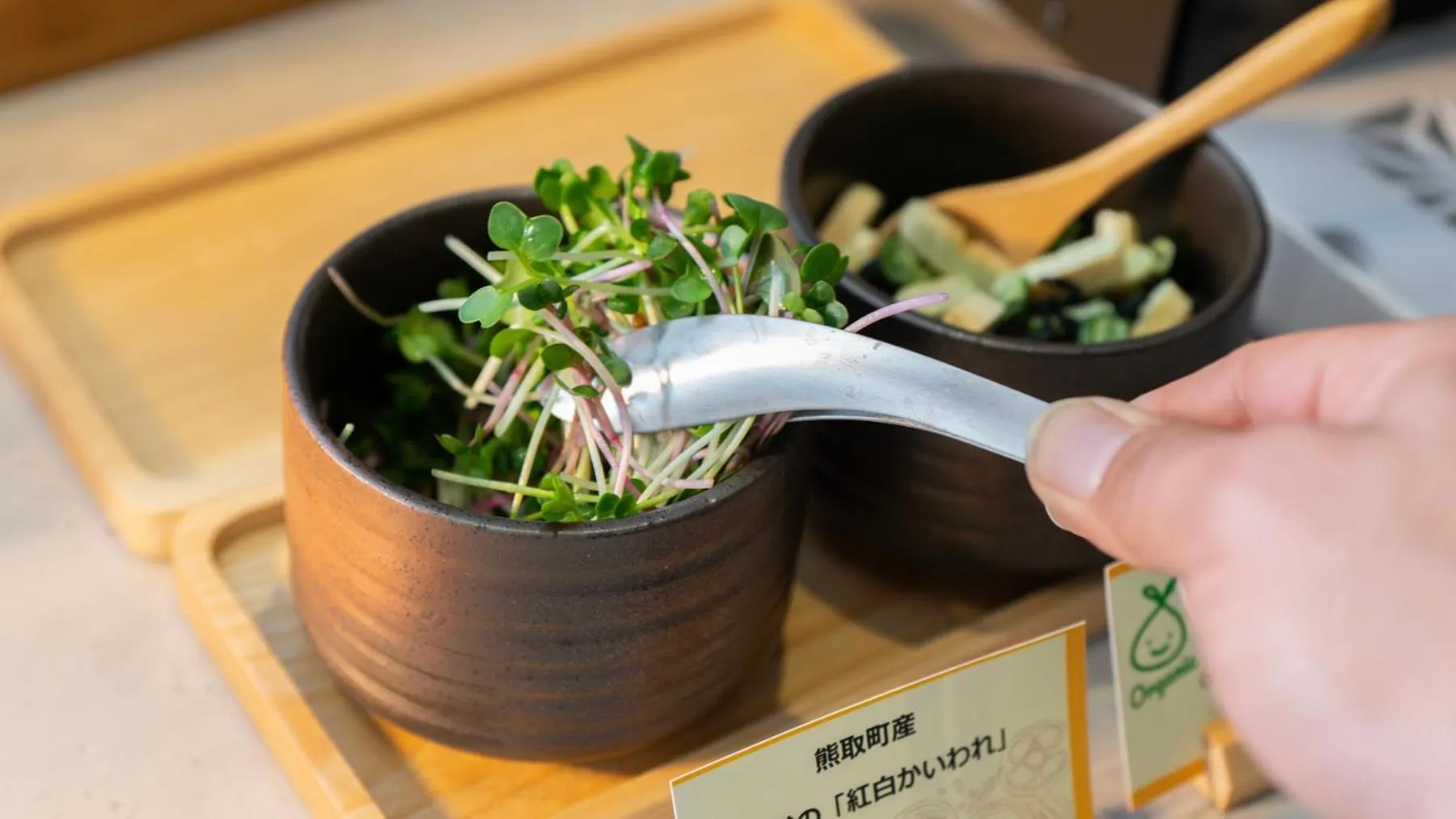 Super Hotel Kanku Kumatoriekimae