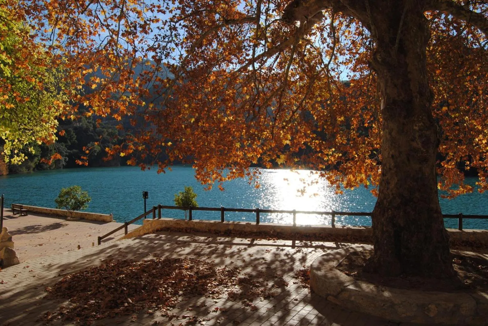 Fishing in Hotel Palaterna