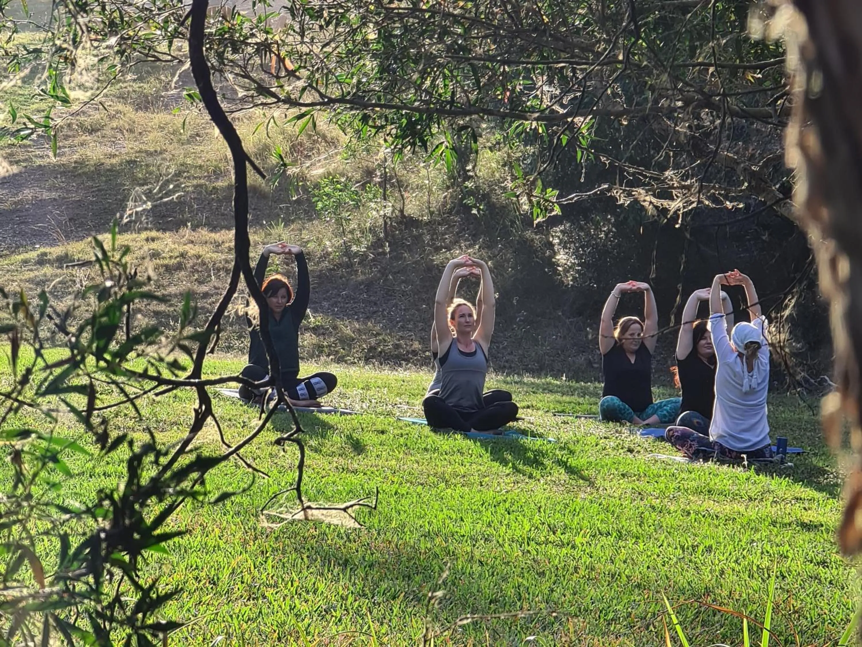 Property building in Noosa Eco Retreat