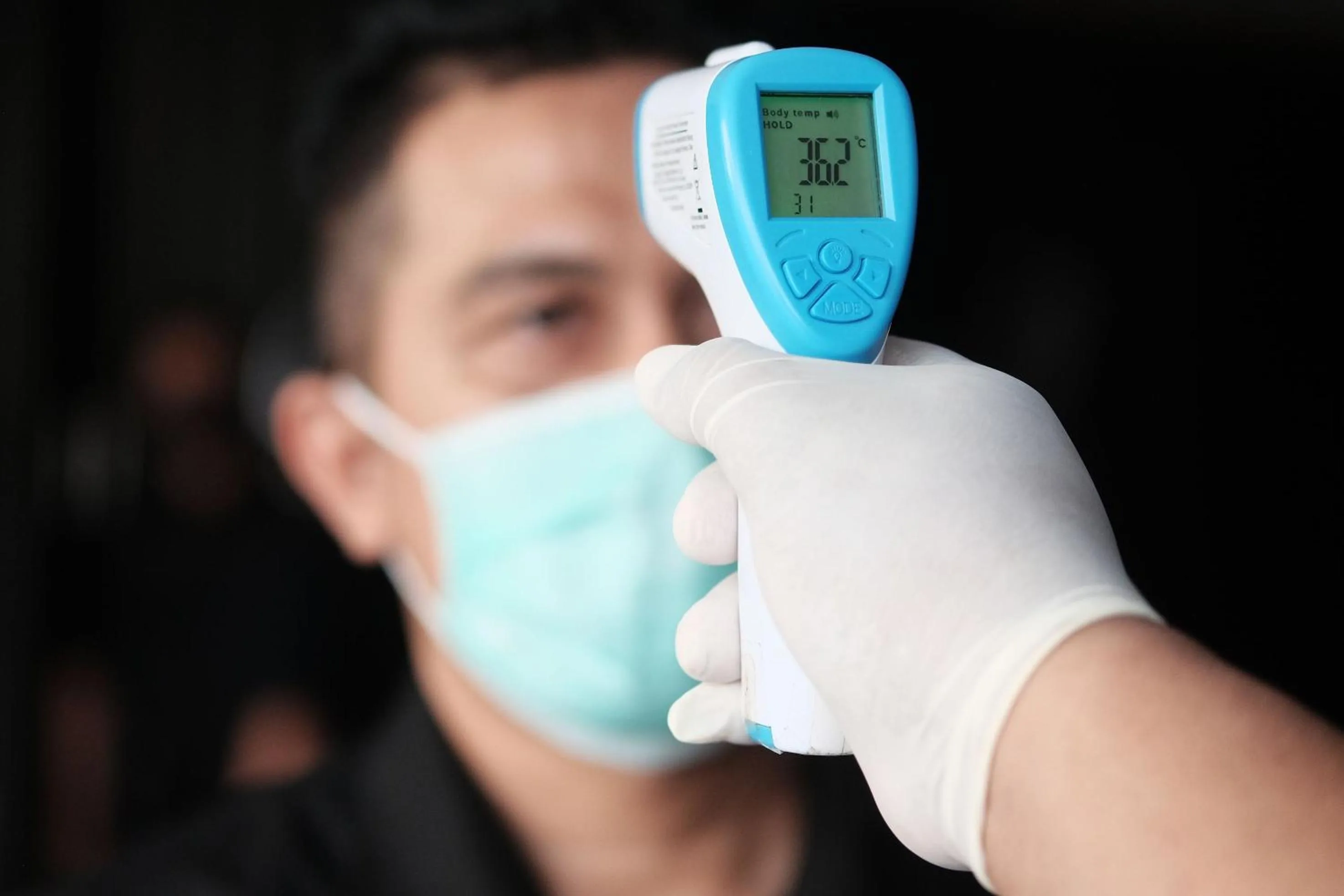 Pinewood Apartment by Vial