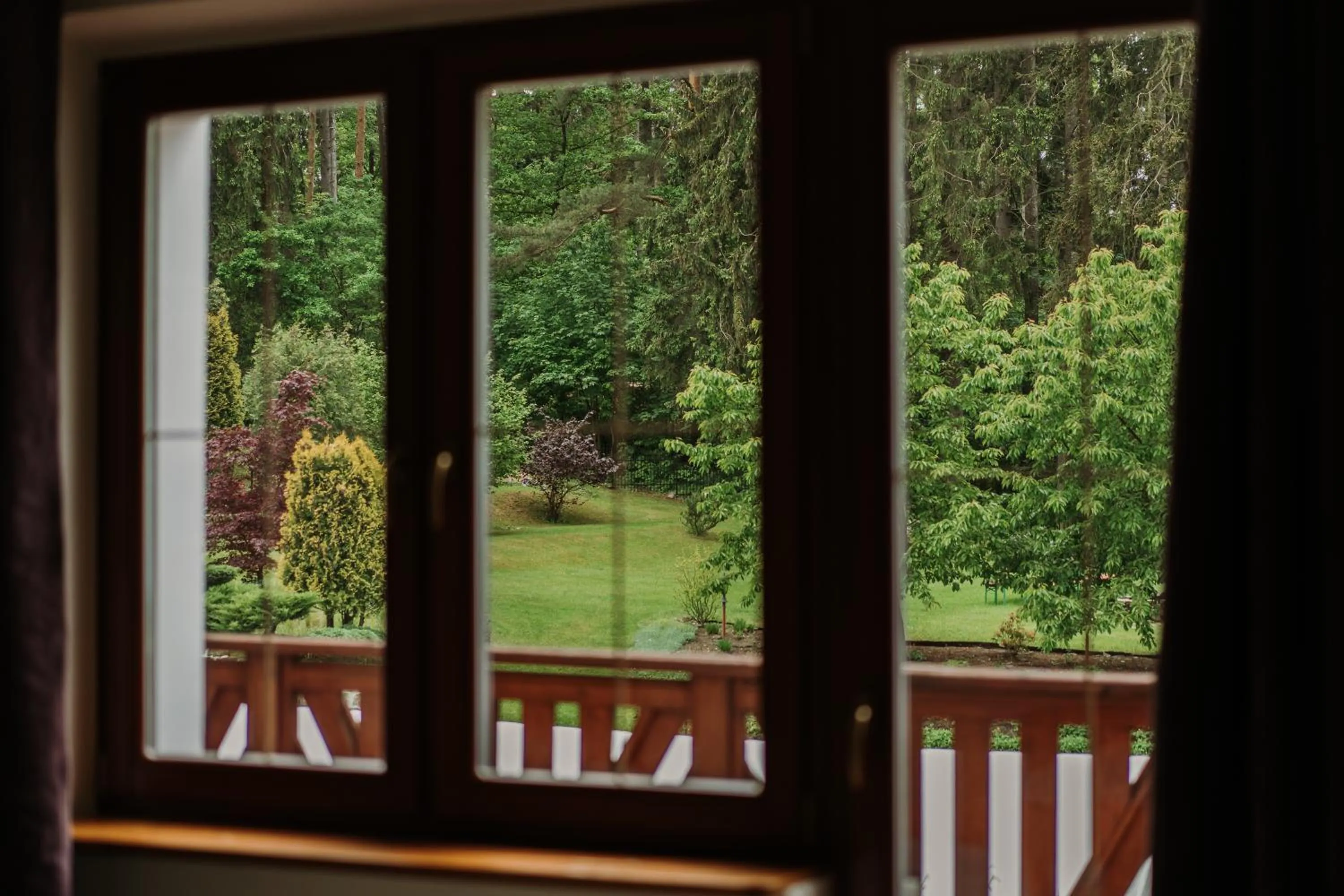 View (from property/room) in Willa Brygida Spa