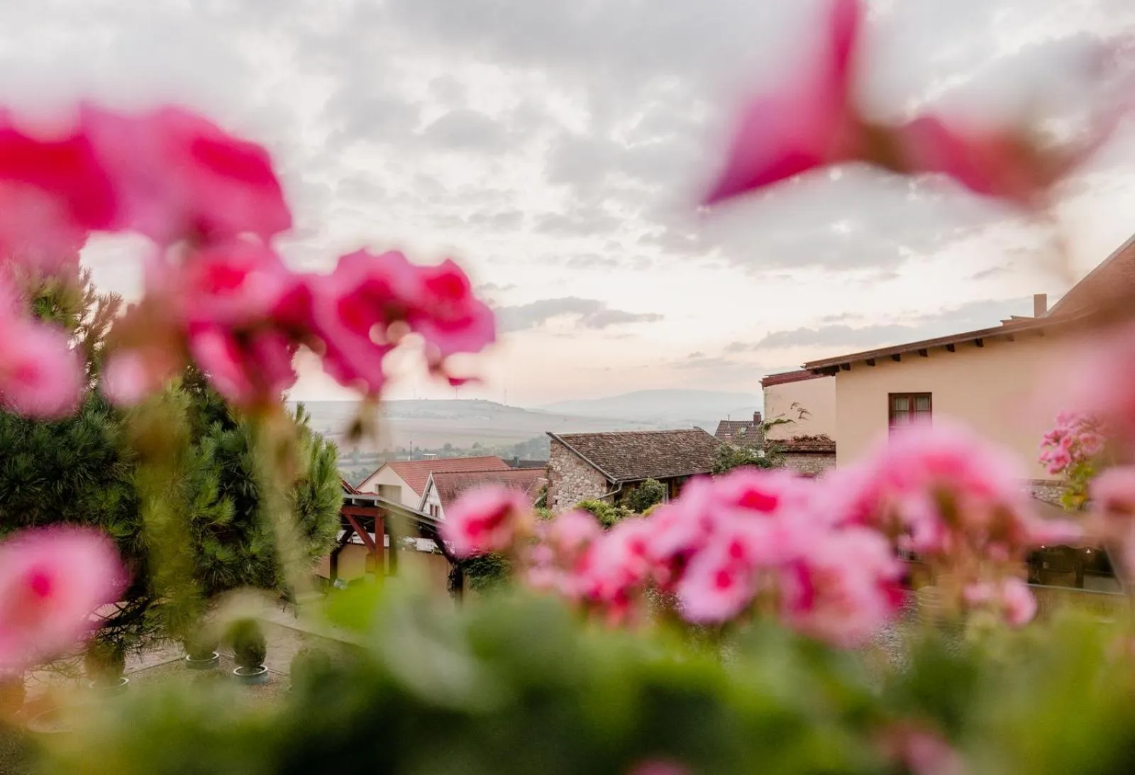 Restaurant/places to eat in Hotel Kollektur