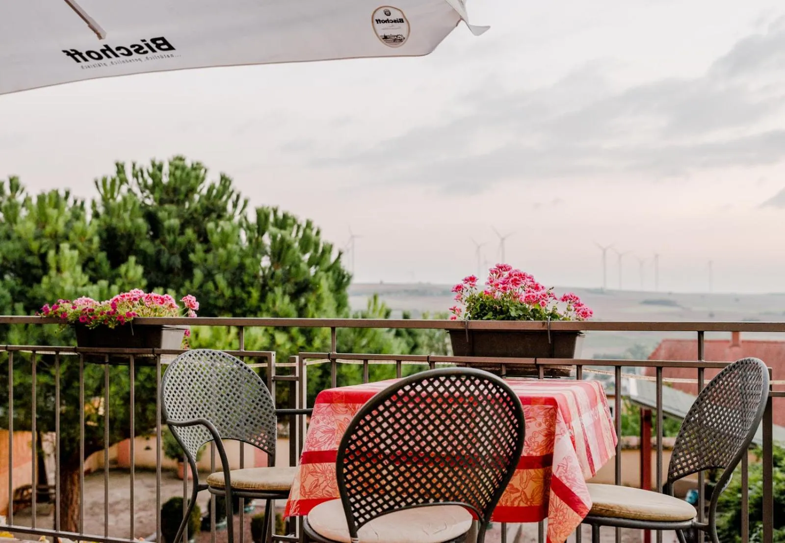 Restaurant/places to eat in Hotel Kollektur