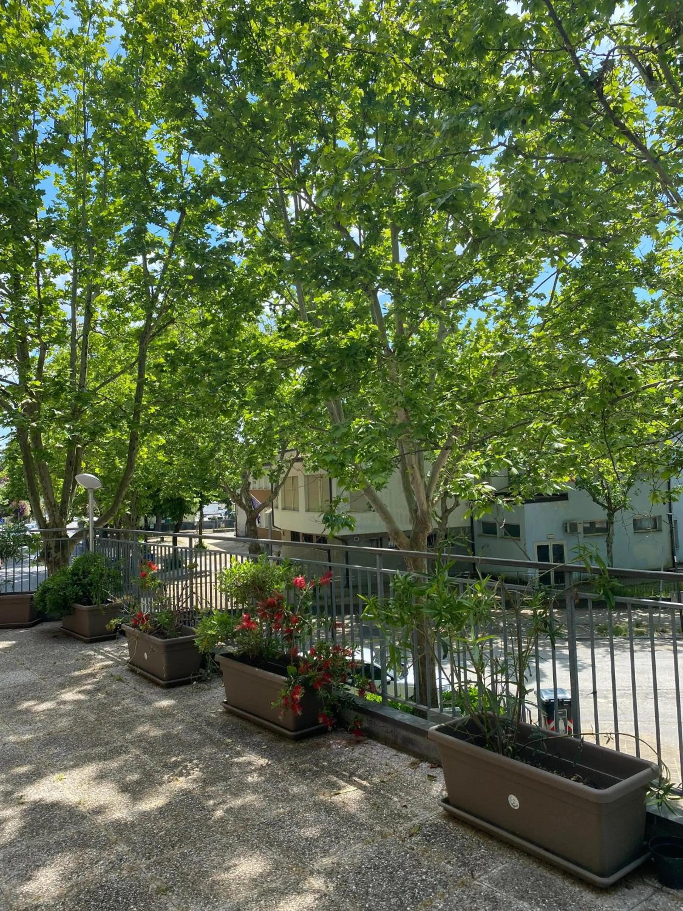 Balcony/Terrace in Hotel Residence Ponente