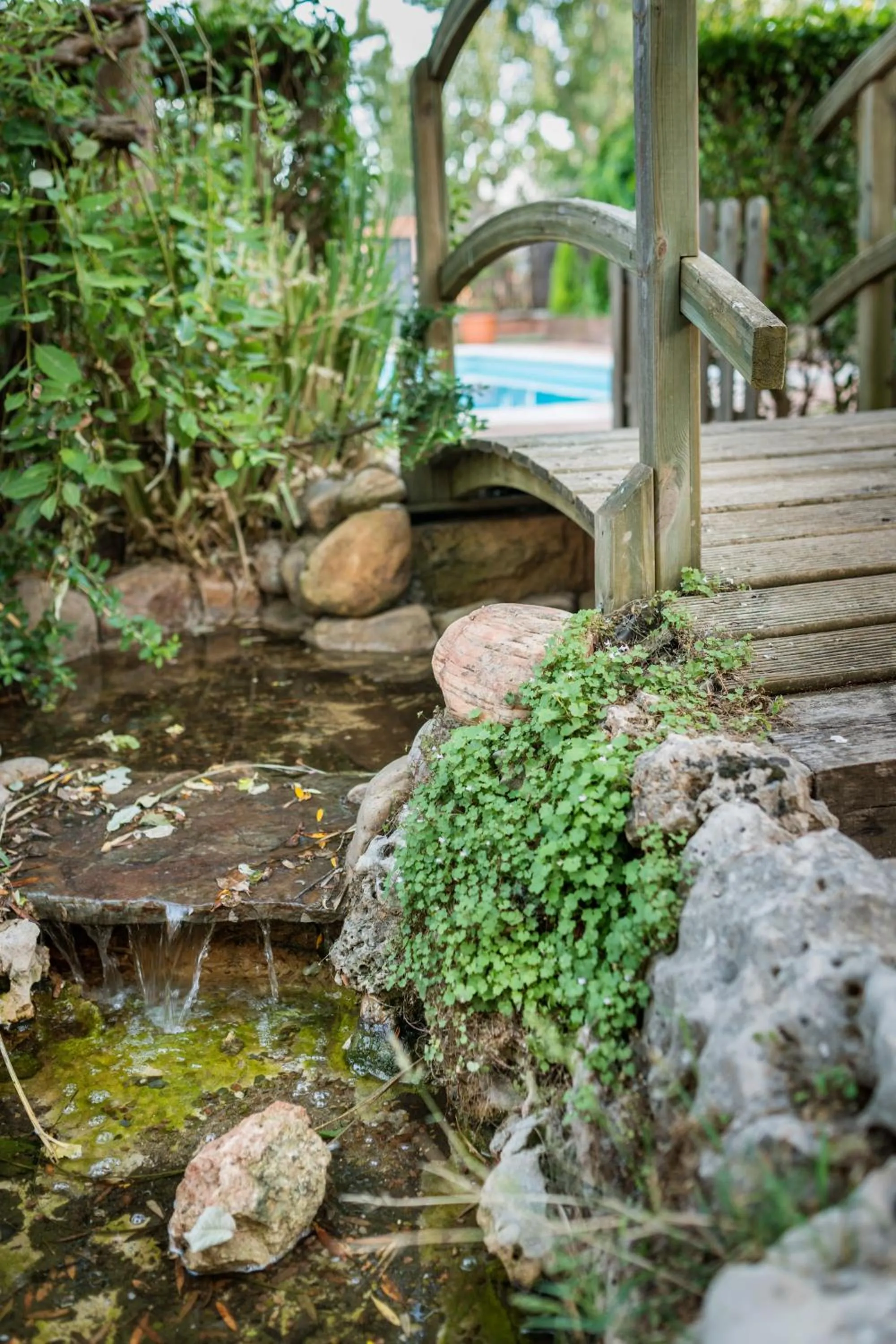 Garden in Hostal Restaurante Rijujama