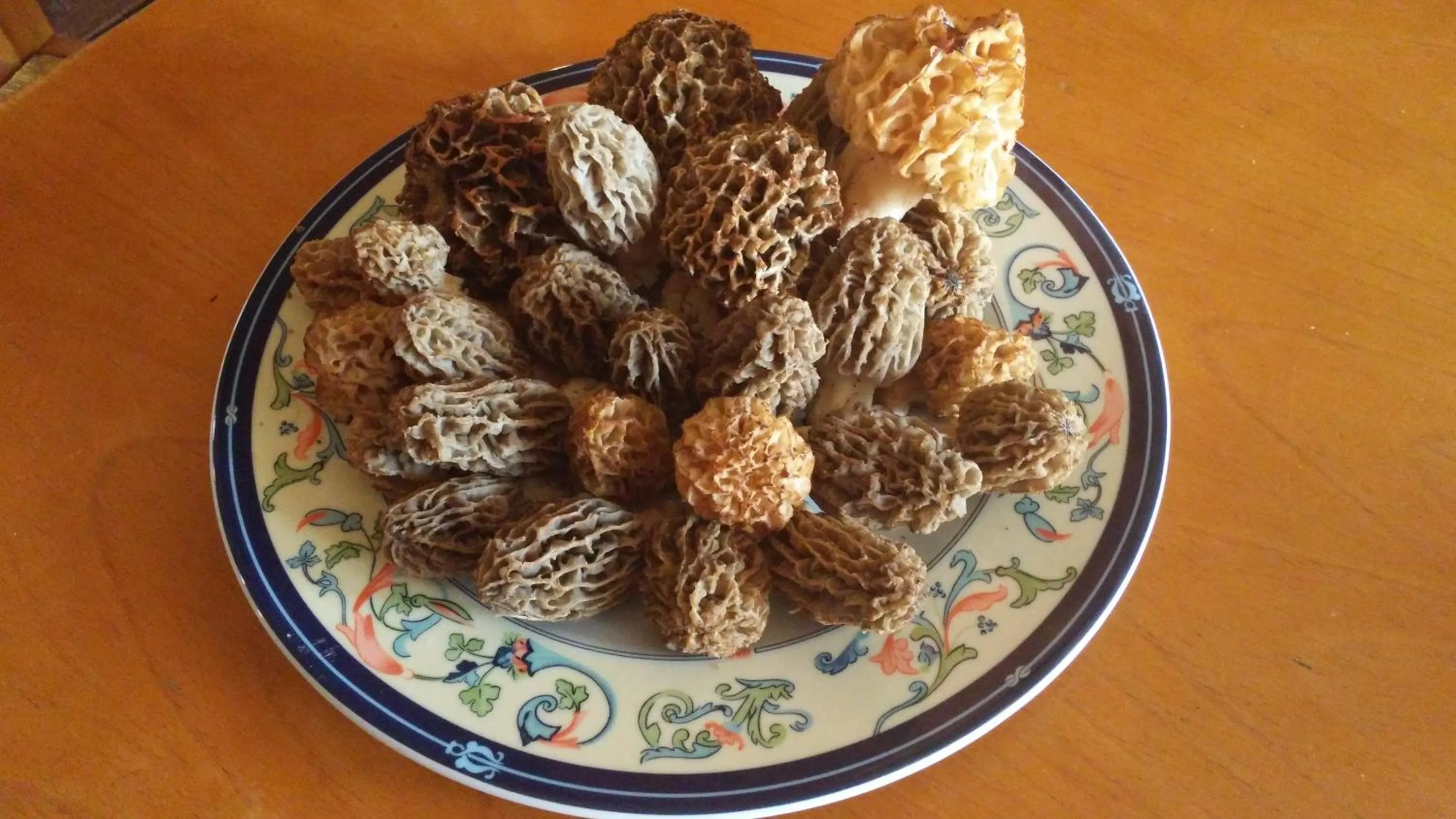 Food in Hostal Restaurante Rijujama