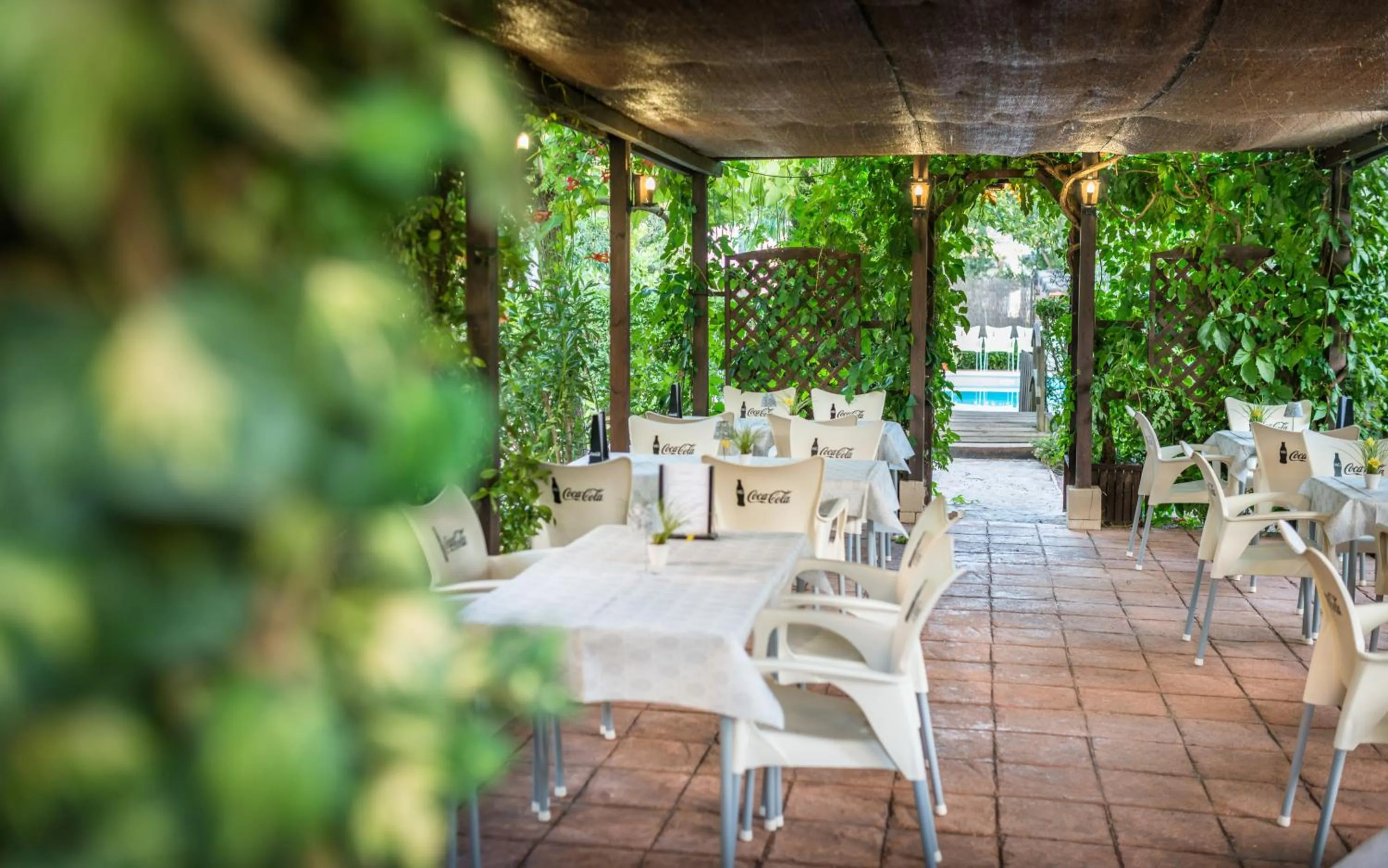 Garden in Hostal Restaurante Rijujama