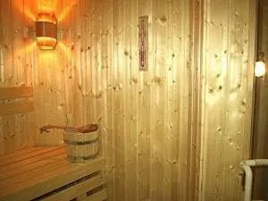 Sauna in Hotel Goldinger