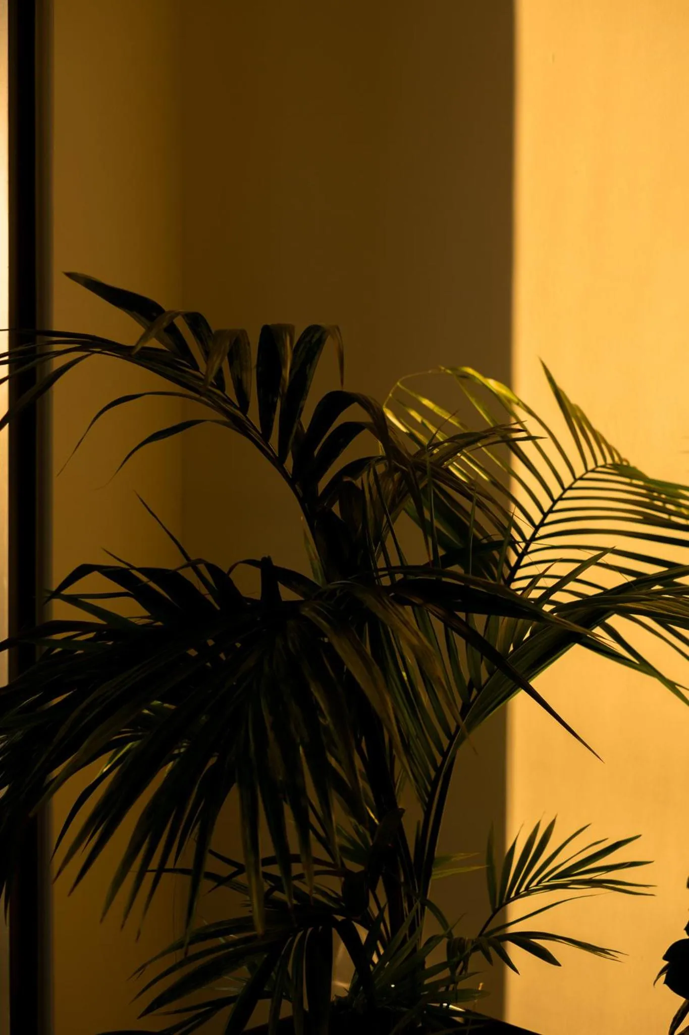 THE FLAG Meiller Gärten