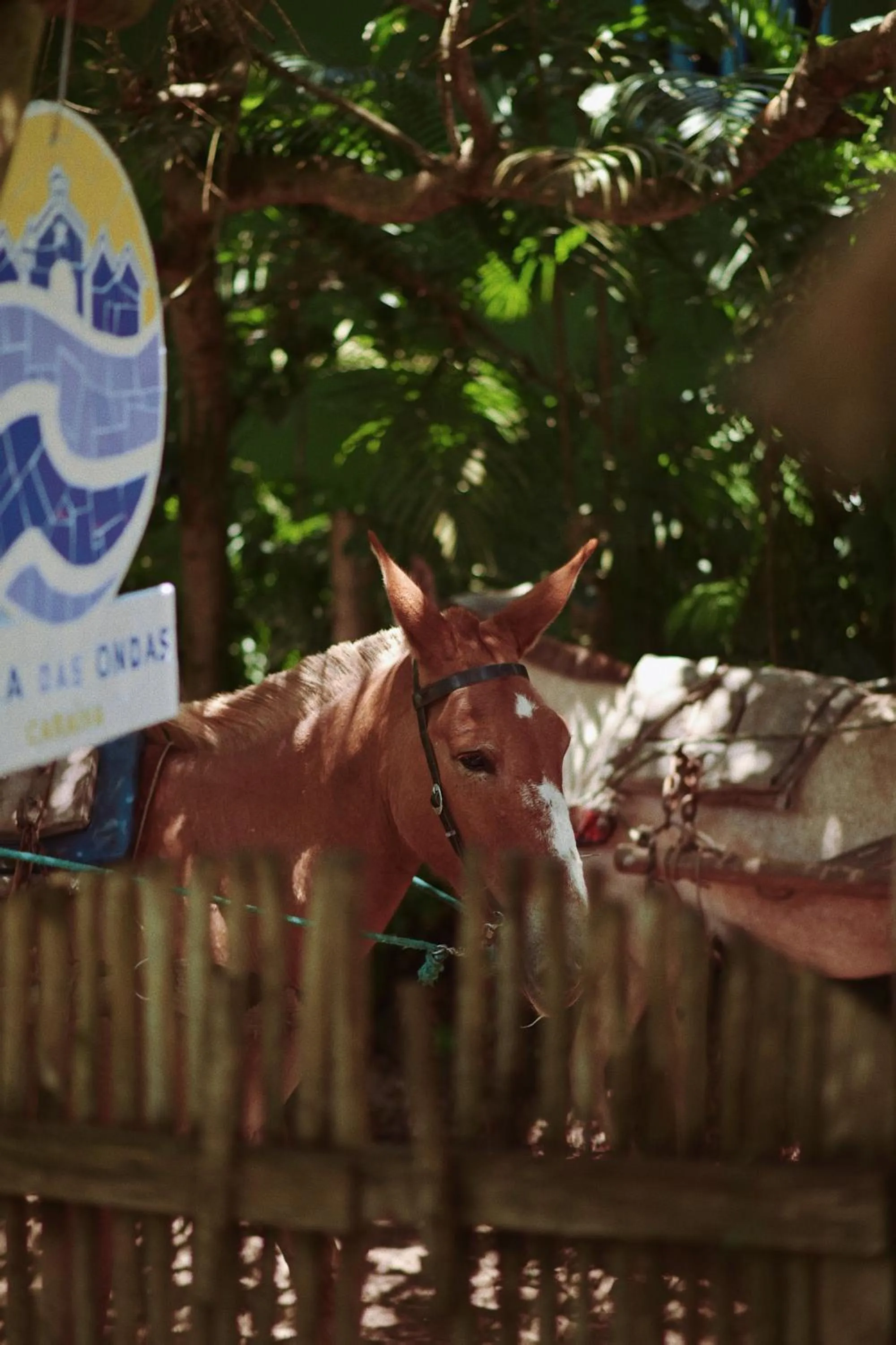 Vila das Ondas Caraíva