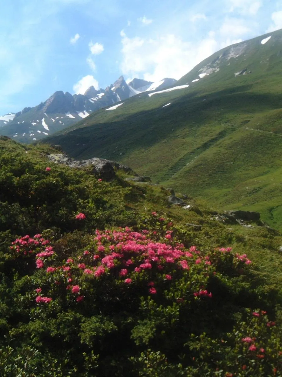 Natural landscape in Das Unterrain Lifestyle Hotel
