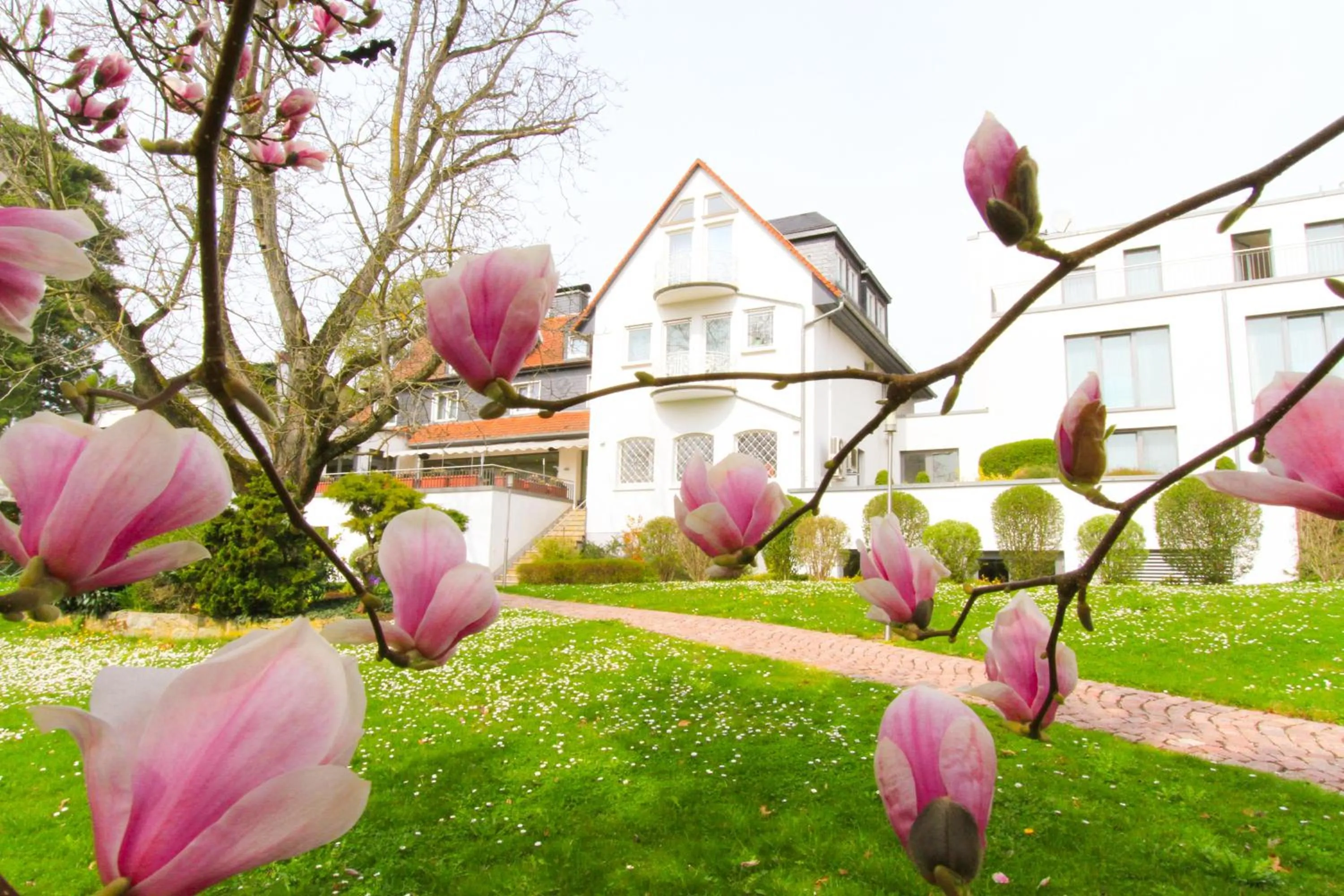 Garden in Hotel Birkenhof