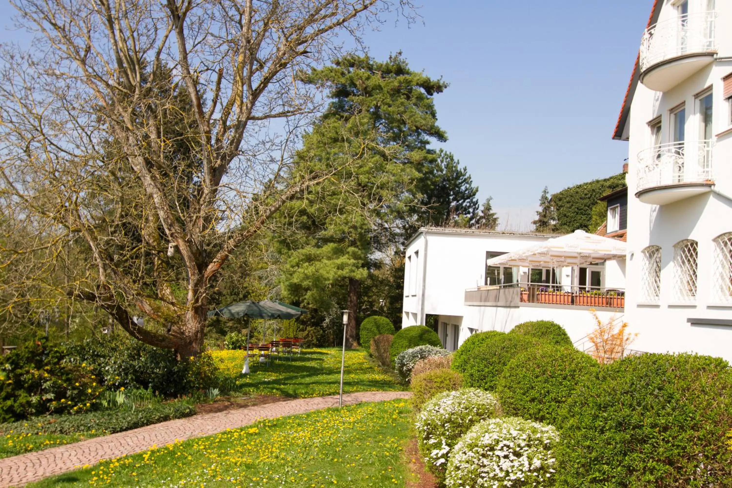 Spring in Hotel Birkenhof