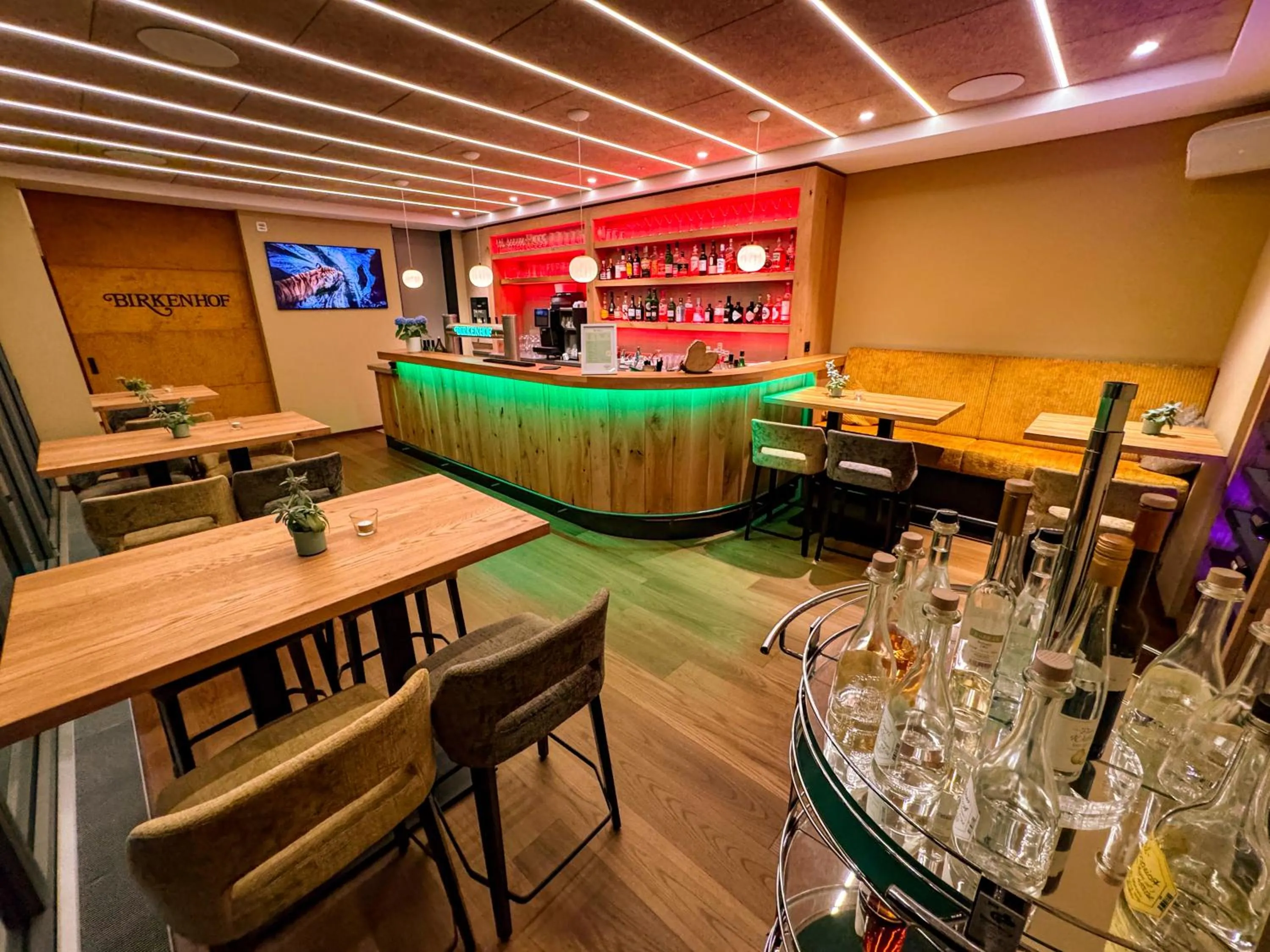 Lounge or bar in Hotel Birkenhof